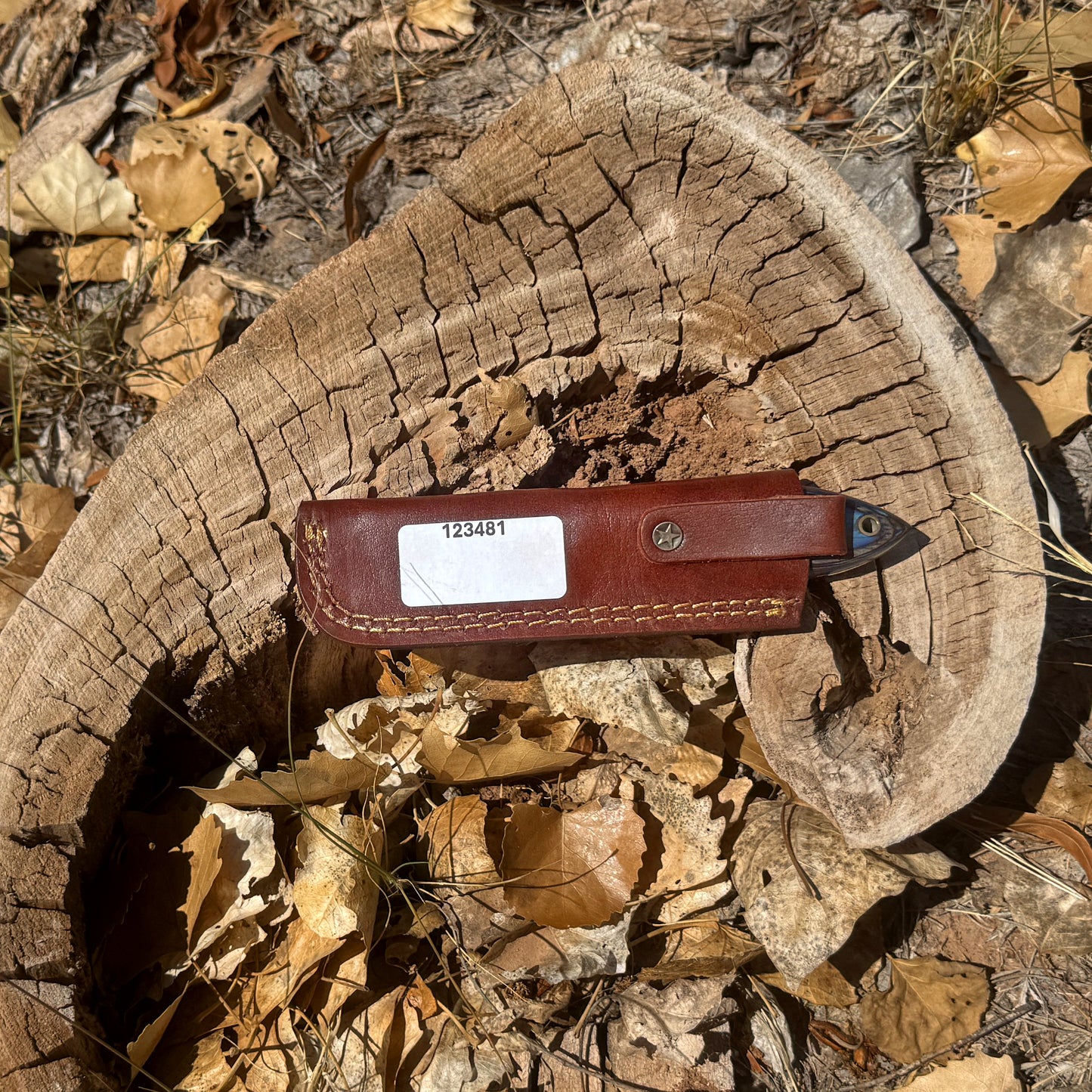 The Blueback Rasp Cleaver – Compact Rasp Knife with Dyed Wood Handle & Leather Sheath