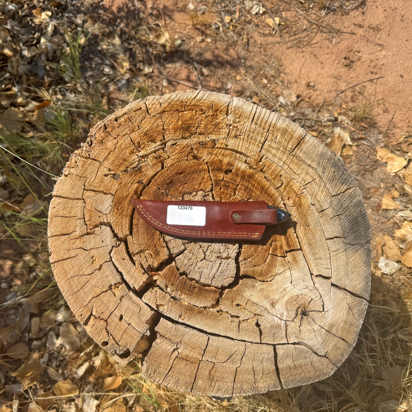 Blue Ridge Hunter Knife – Curved Wood Handle with Leather Sheath