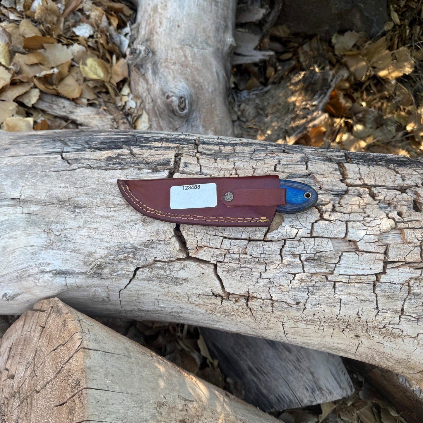 The Blue Rasp – Hand-Forged Rasp Knife with Dyed Wood Handle & Leather Sheath