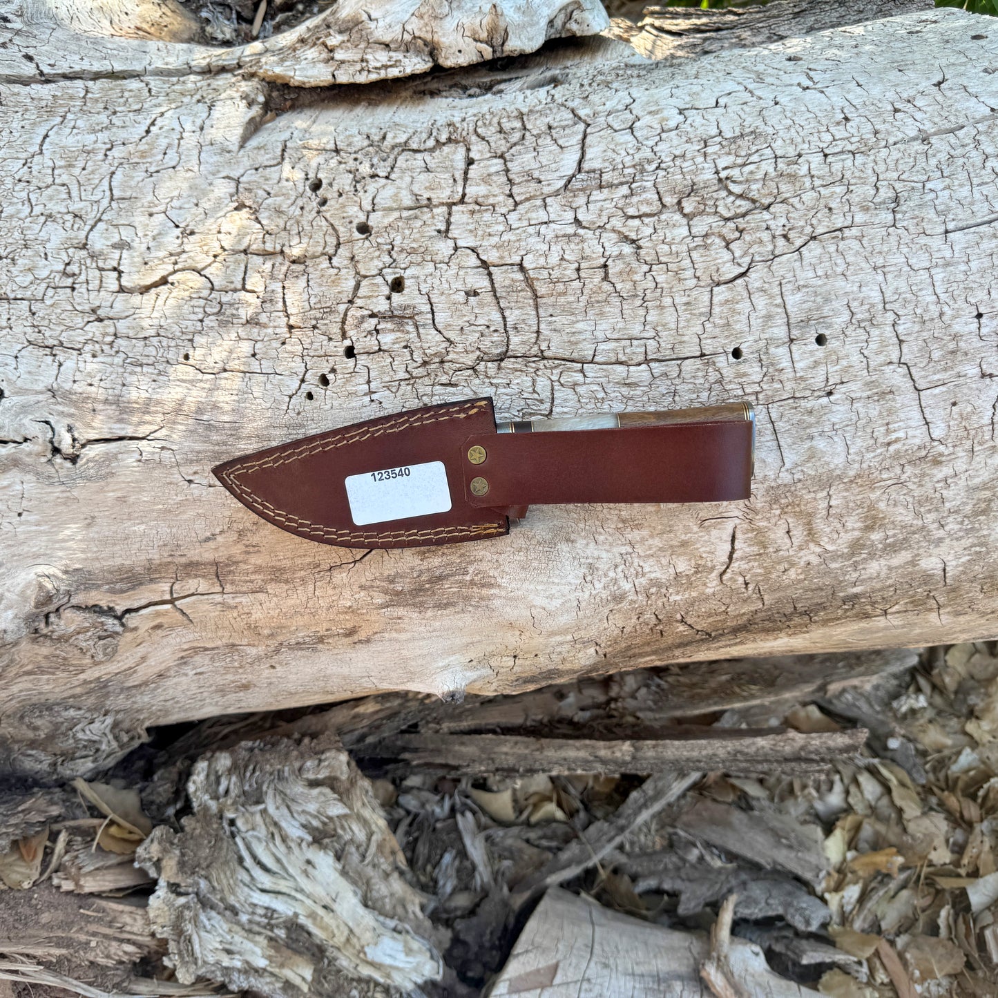 Timber Ghost Hand-Forged Damascus Skinner with Bone & Wood Handle