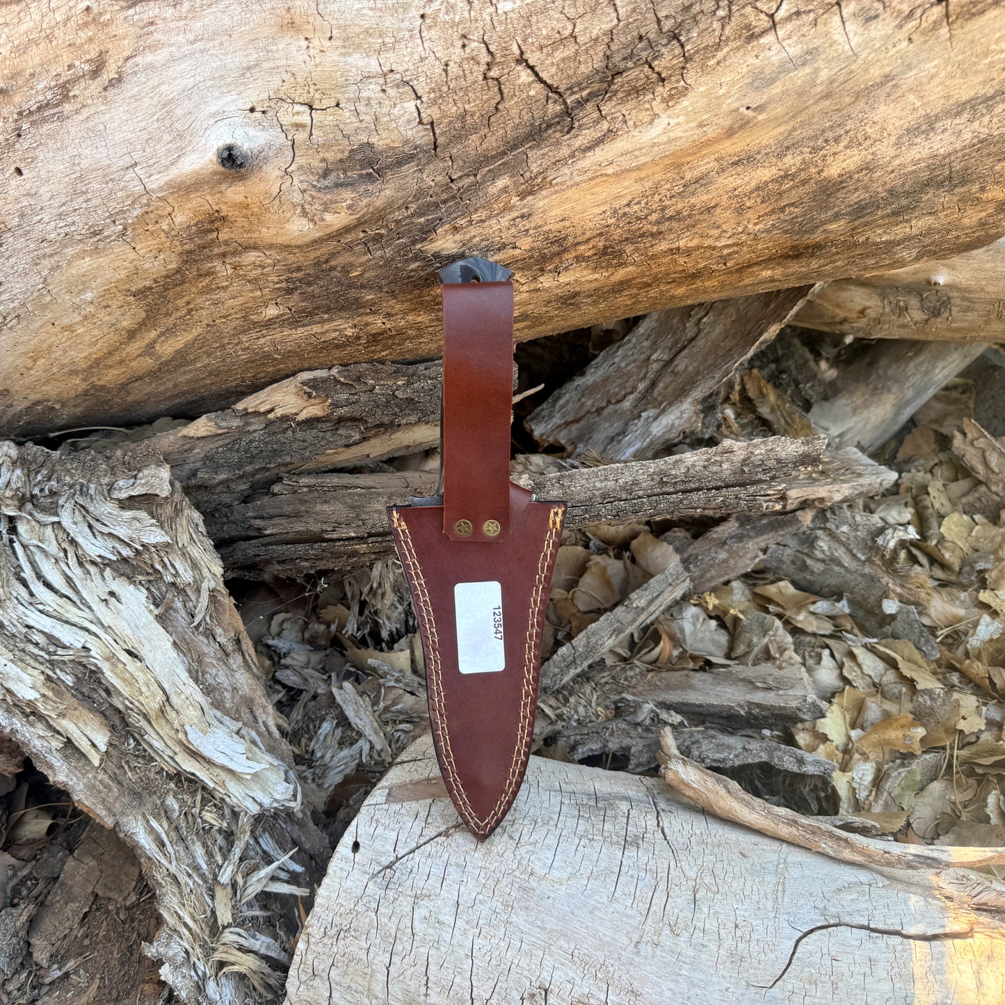 The Revenant Hand-Forged Damascus Dagger with Sculpted Resin Handle