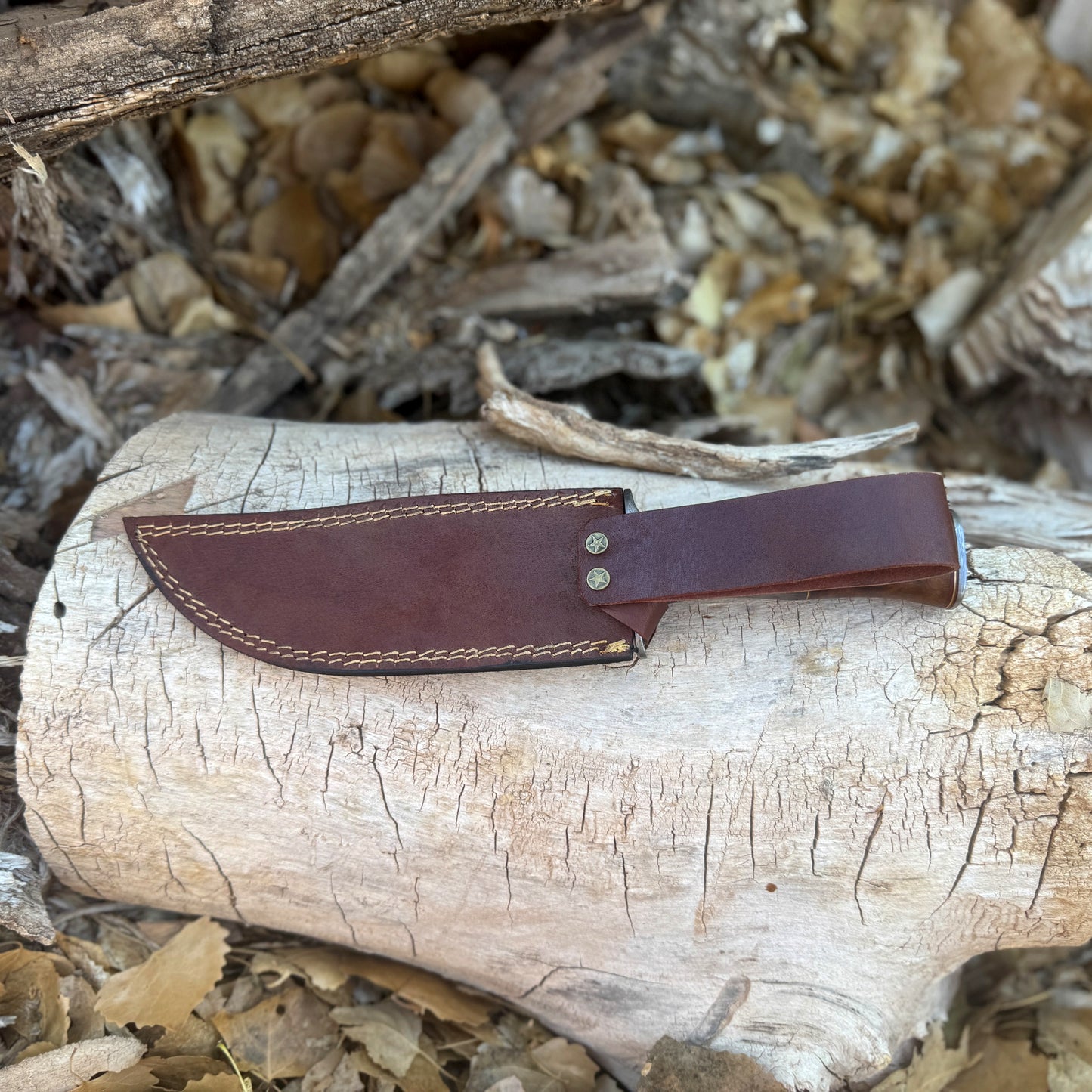 Ironwood Sentinel Hand-Forged Damascus Bowie Knife with Horn & Damascus Guard