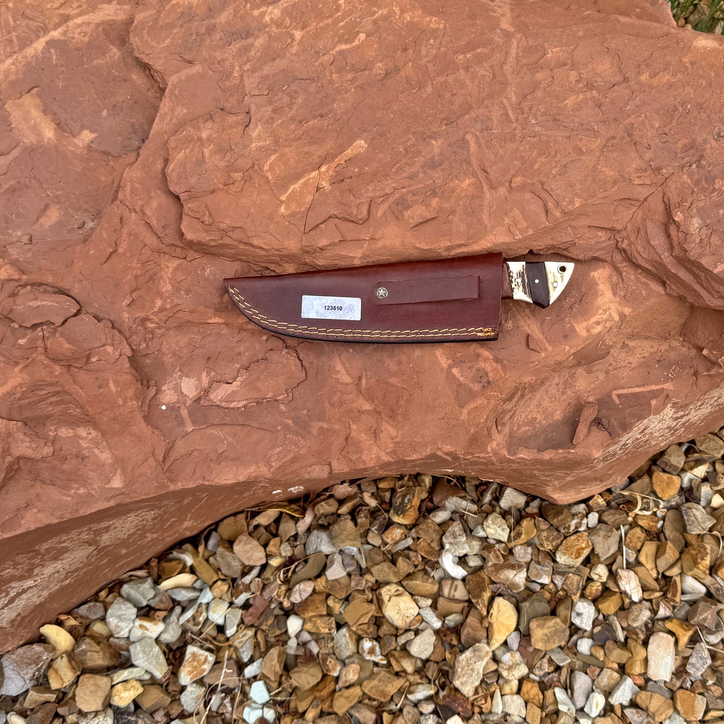 The Bone Collector Hand-Forged Damascus Hunting Knife with Stag & Hardwood Handle