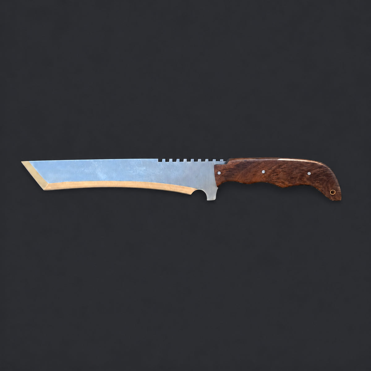 The Ravager