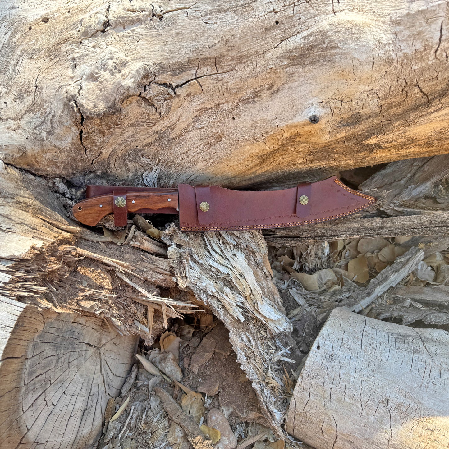 The Desert Fang – Hand-Forged High Carbon Steel Bowie Machete