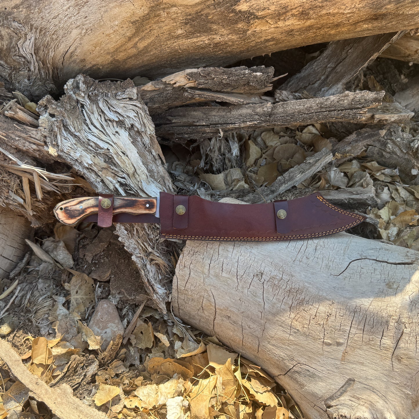 Timber Fang – Hand-Forged Falcata-Style Machete
