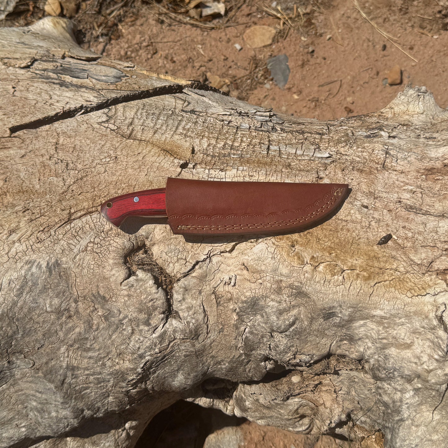 Bloodwood Scout fixed blade knife with red dyed-wood handle

High-carbon blade displayed on brown leather sheath

Close-up of deep red wood handle with visible grain

Bloodwood Scout knife on natural wood background

Knife and hand-stitched leather sheath arranged together

Outdoor fixed blade knife in natural lighting

Blue Spade Forge Bloodwood Scout held in hand for scale

Rugged field knife ready for hunting and bushcraft tasks