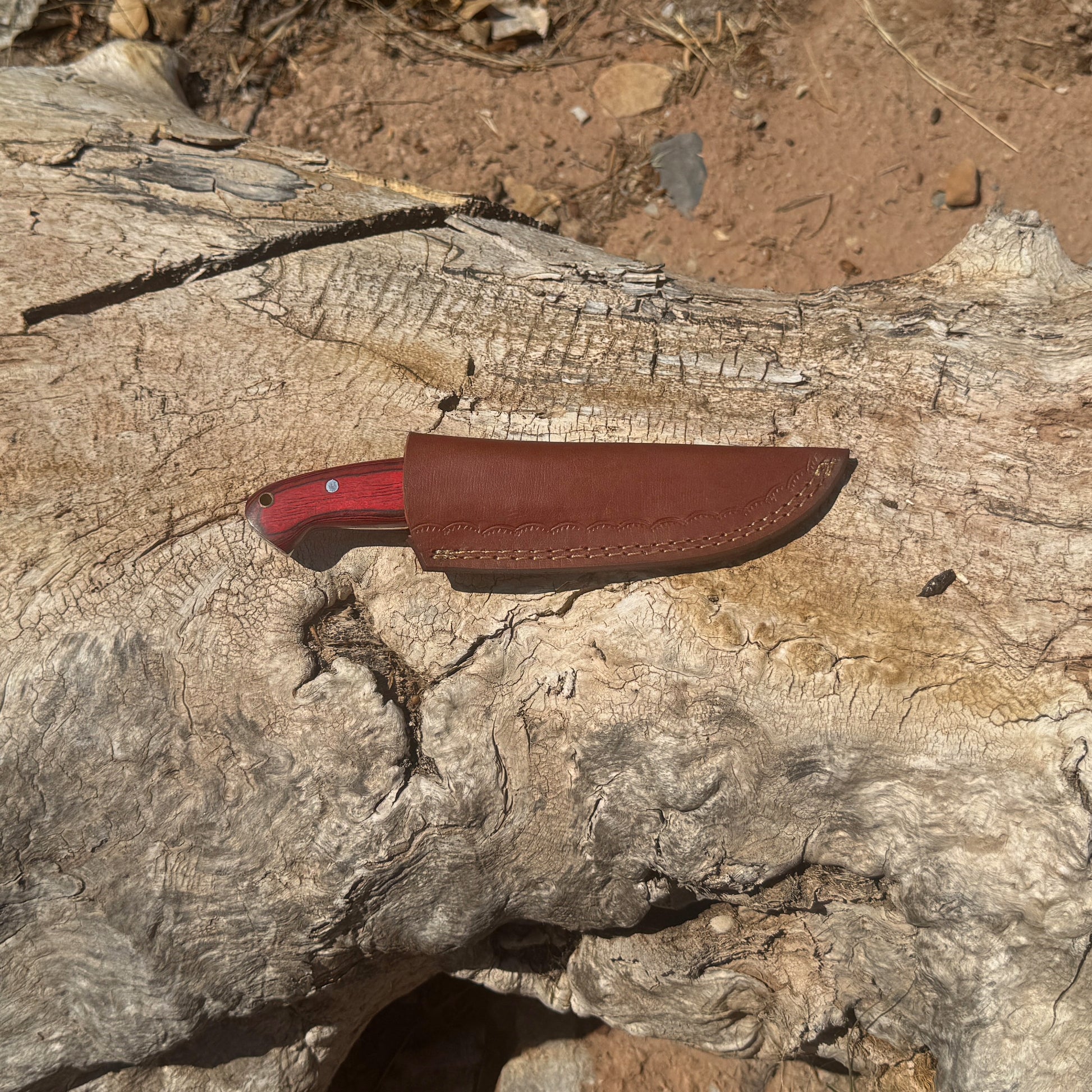 Bloodwood Scout fixed blade knife with red dyed-wood handle

High-carbon blade displayed on brown leather sheath

Close-up of deep red wood handle with visible grain

Bloodwood Scout knife on natural wood background

Knife and hand-stitched leather sheath arranged together

Outdoor fixed blade knife in natural lighting

Blue Spade Forge Bloodwood Scout held in hand for scale

Rugged field knife ready for hunting and bushcraft tasks