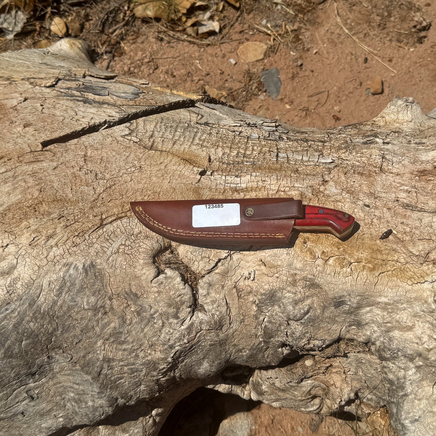 Bloodwood Scout fixed blade knife with red dyed-wood handle

High-carbon blade displayed on brown leather sheath

Close-up of deep red wood handle with visible grain

Bloodwood Scout knife on natural wood background

Knife and hand-stitched leather sheath arranged together

Outdoor fixed blade knife in natural lighting

Blue Spade Forge Bloodwood Scout held in hand for scale

Rugged field knife ready for hunting and bushcraft tasks