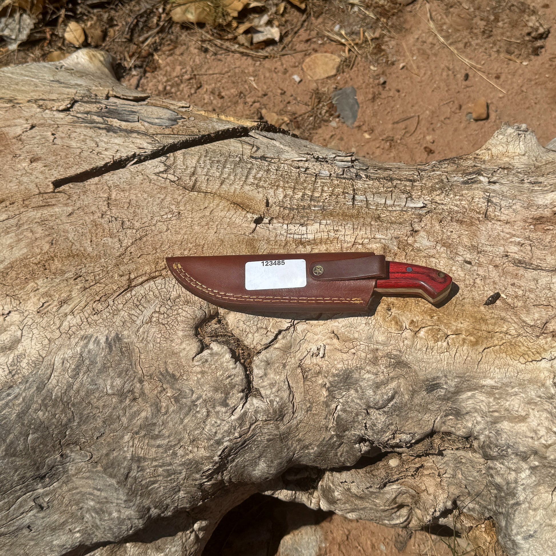 Bloodwood Scout fixed blade knife with red dyed-wood handle

High-carbon blade displayed on brown leather sheath

Close-up of deep red wood handle with visible grain

Bloodwood Scout knife on natural wood background

Knife and hand-stitched leather sheath arranged together

Outdoor fixed blade knife in natural lighting

Blue Spade Forge Bloodwood Scout held in hand for scale

Rugged field knife ready for hunting and bushcraft tasks