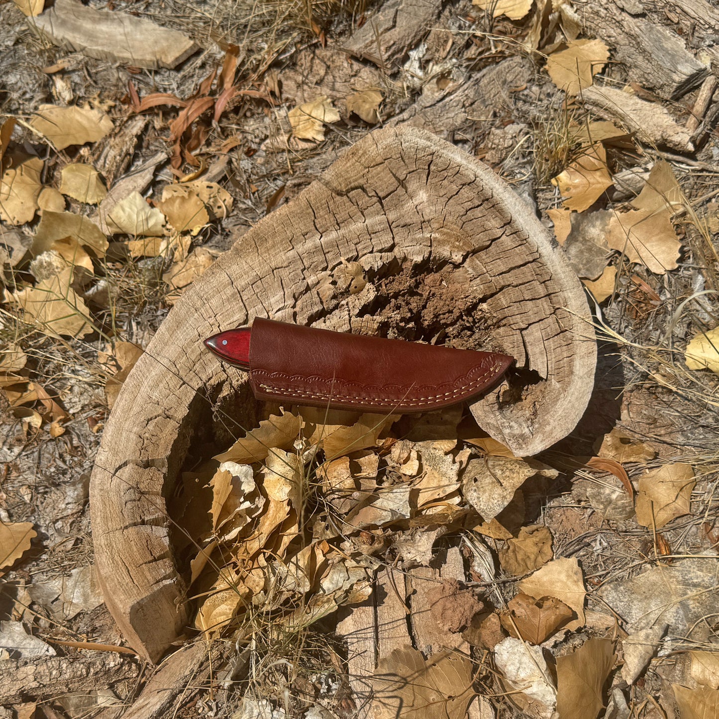 The Redwood Hunter – Fixed Blade Knife with Leather Sheath