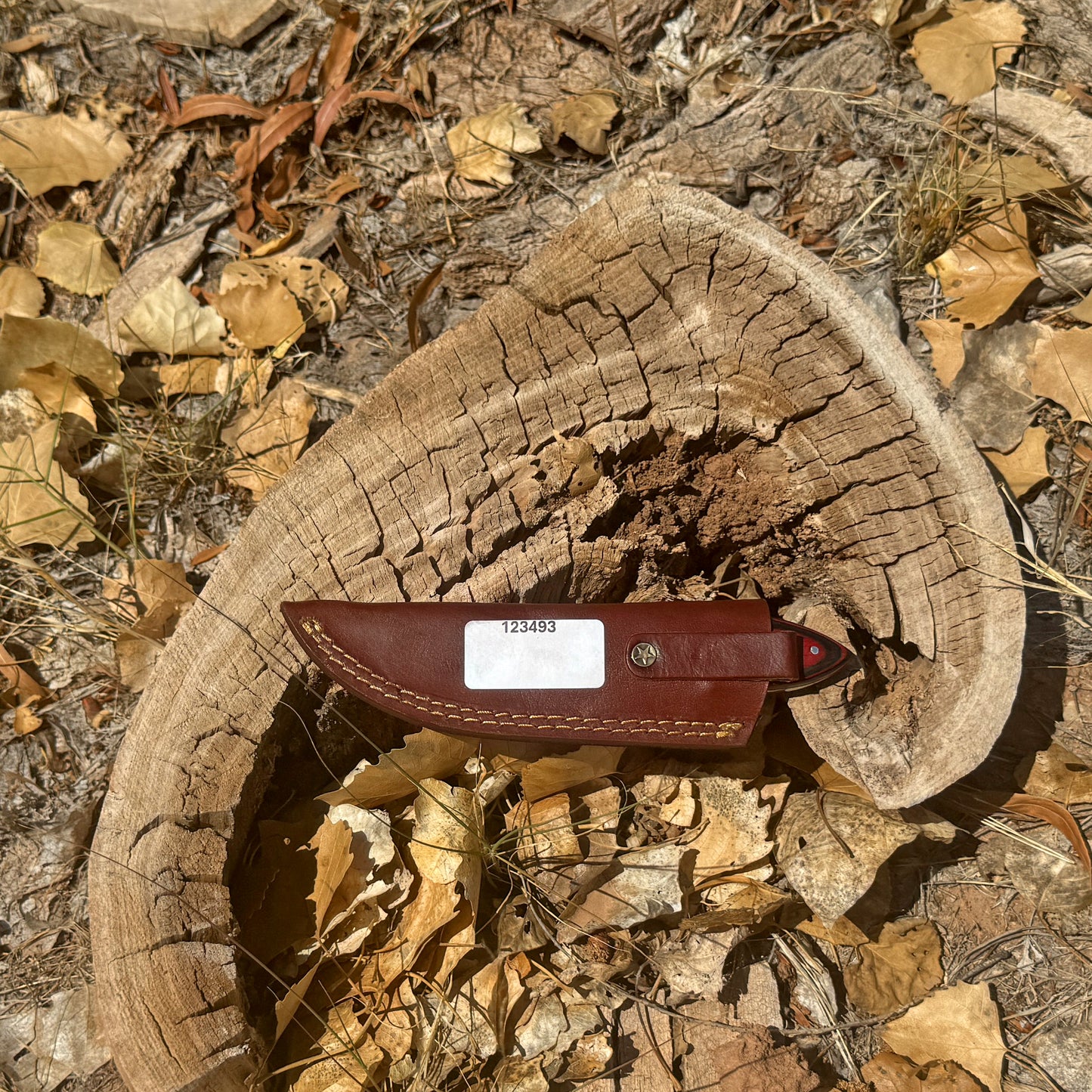 The Redwood Hunter – Fixed Blade Knife with Leather Sheath