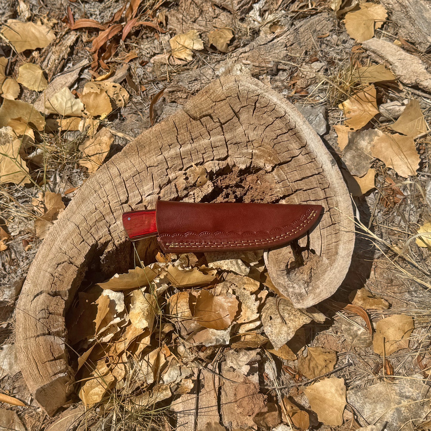 Crimson Forge Field Knife – Satin Blade with Red Wood Handle and Leather Sheath