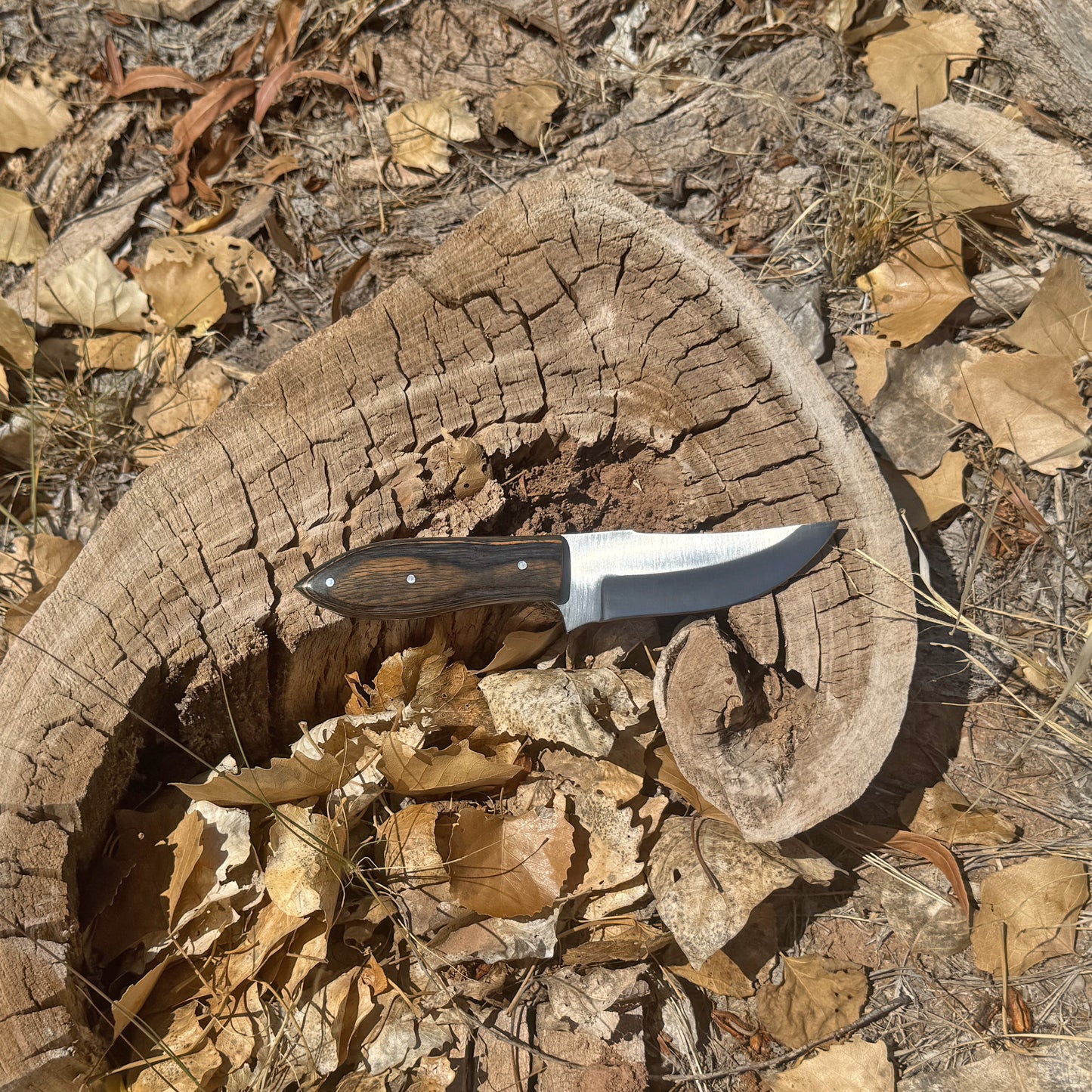 Midnight Timber Knife – Dark Wood Handle with Leather Sheath