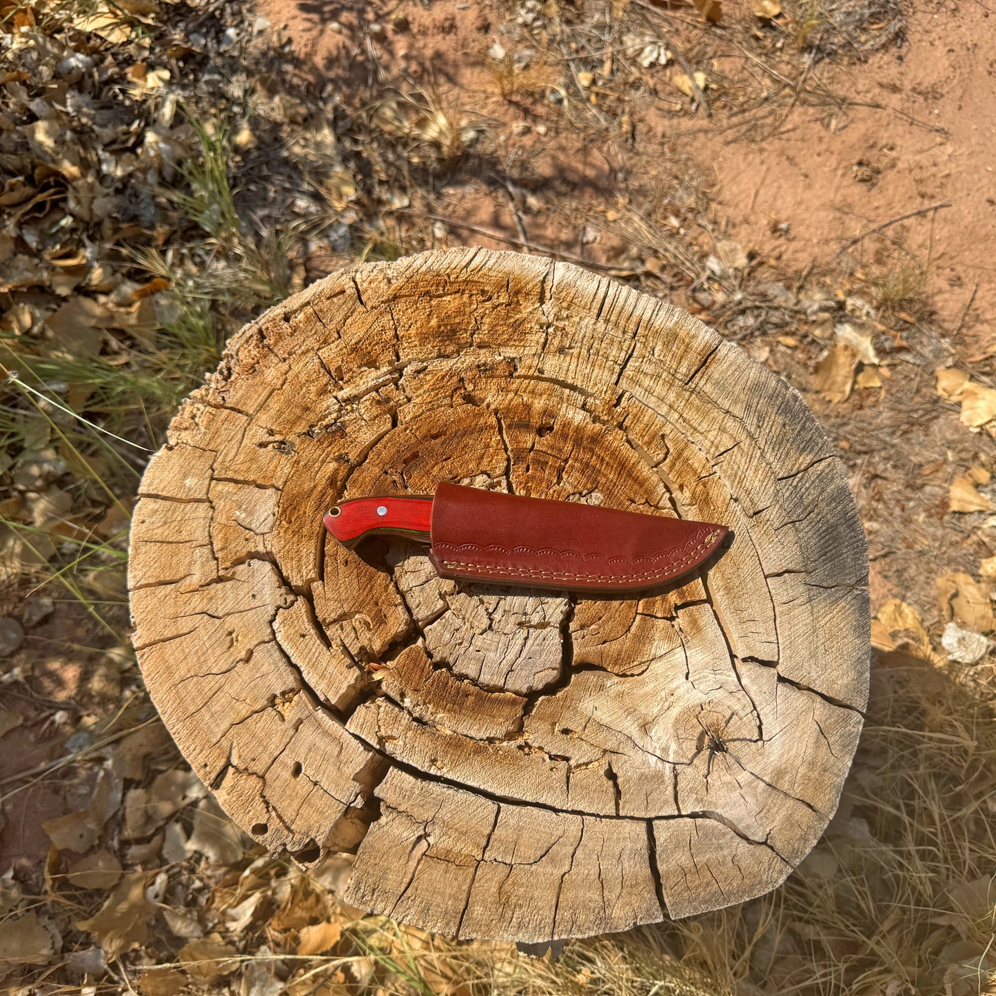 Redwood Ranger Fixed Blade Knife – Curved Wood Handle with Leather Sheath
