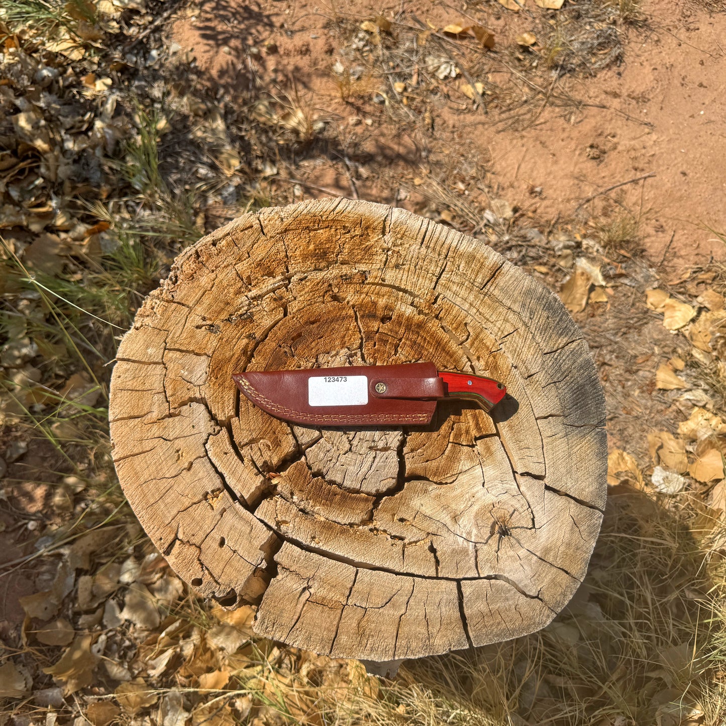 Redwood Ranger Fixed Blade Knife – Curved Wood Handle with Leather Sheath