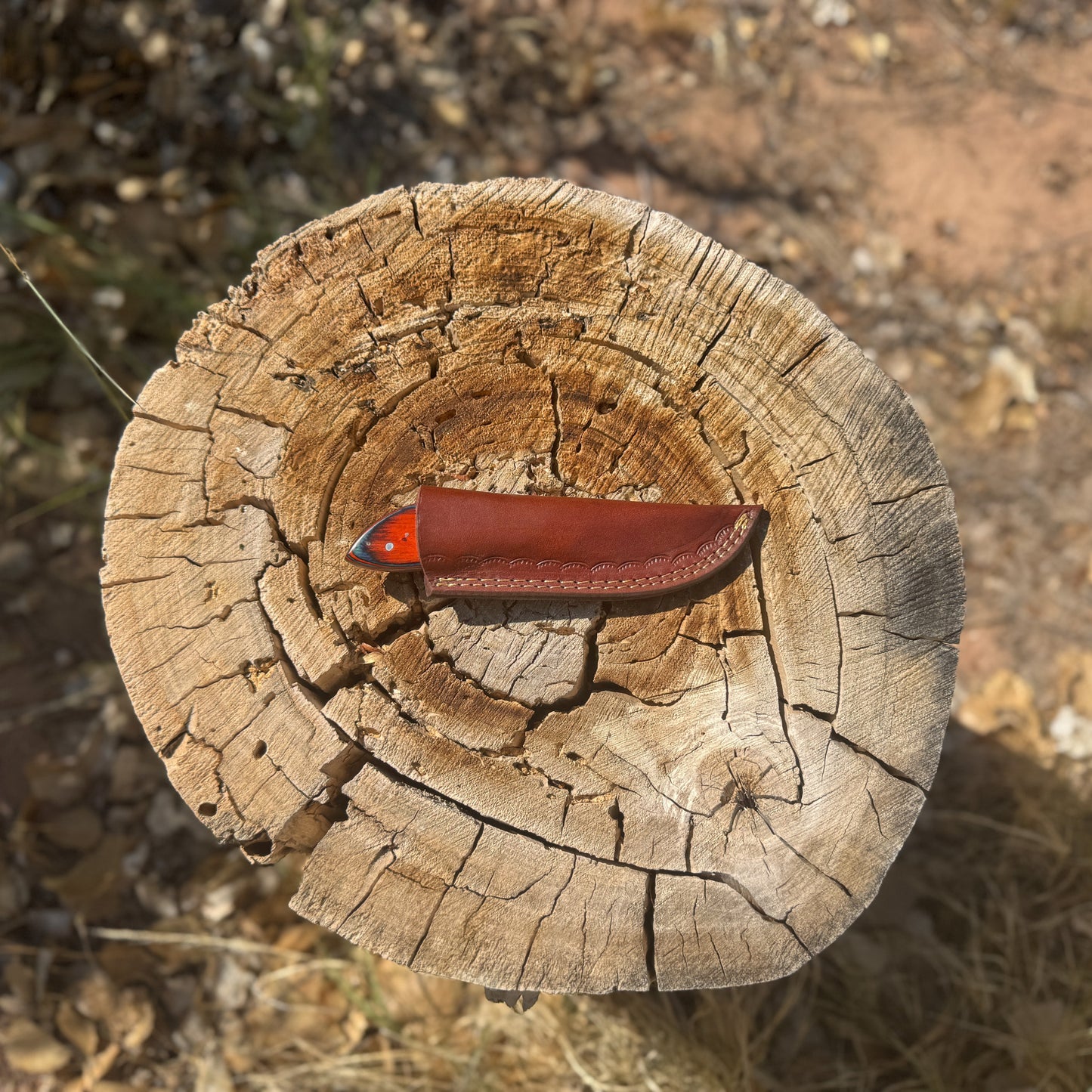Embertrail Mini Skinner Knife | Hand-Forged High Carbon Skinning Blade | Blue Spade Forge