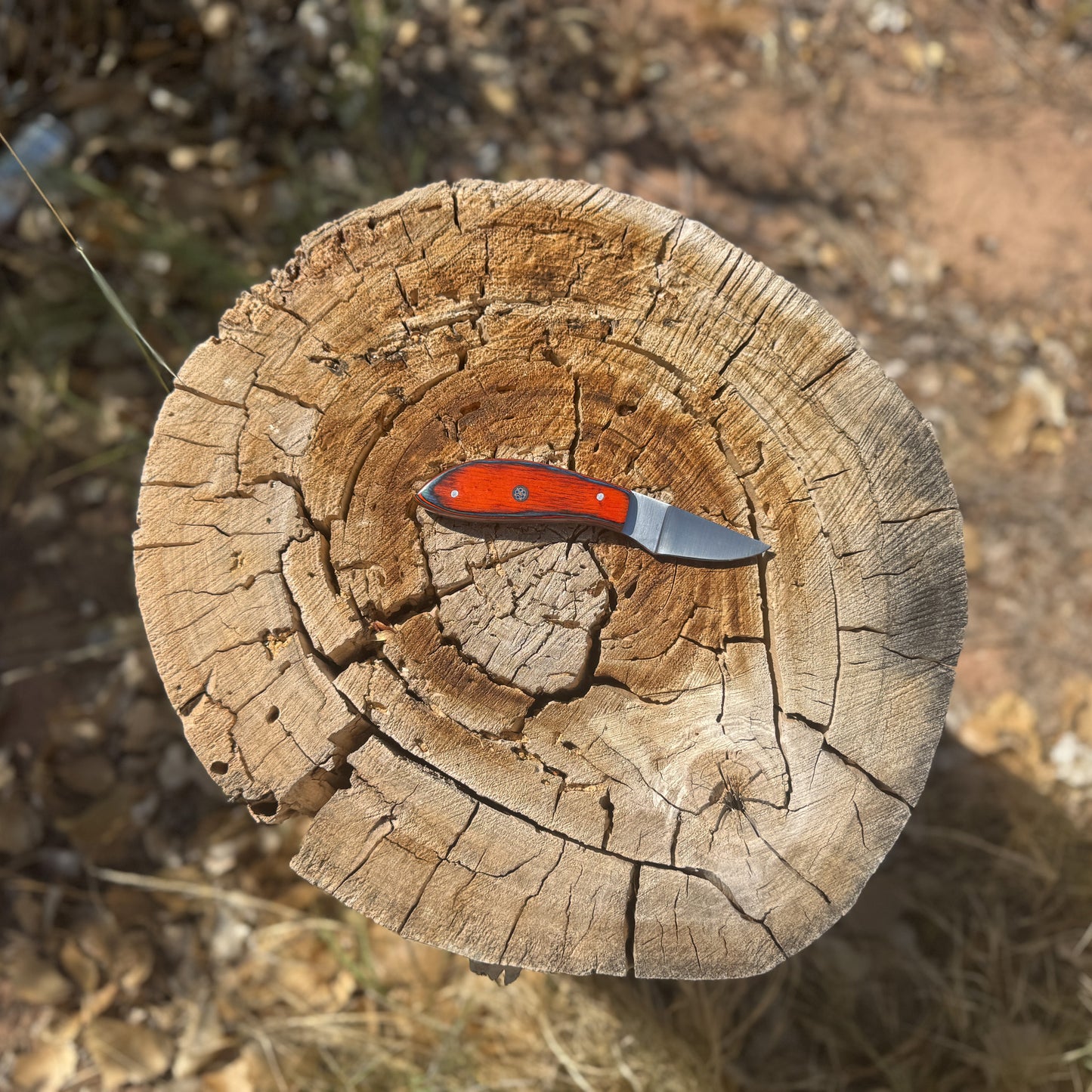 Embertrail Mini Skinner Knife | Hand-Forged High Carbon Skinning Blade | Blue Spade Forge