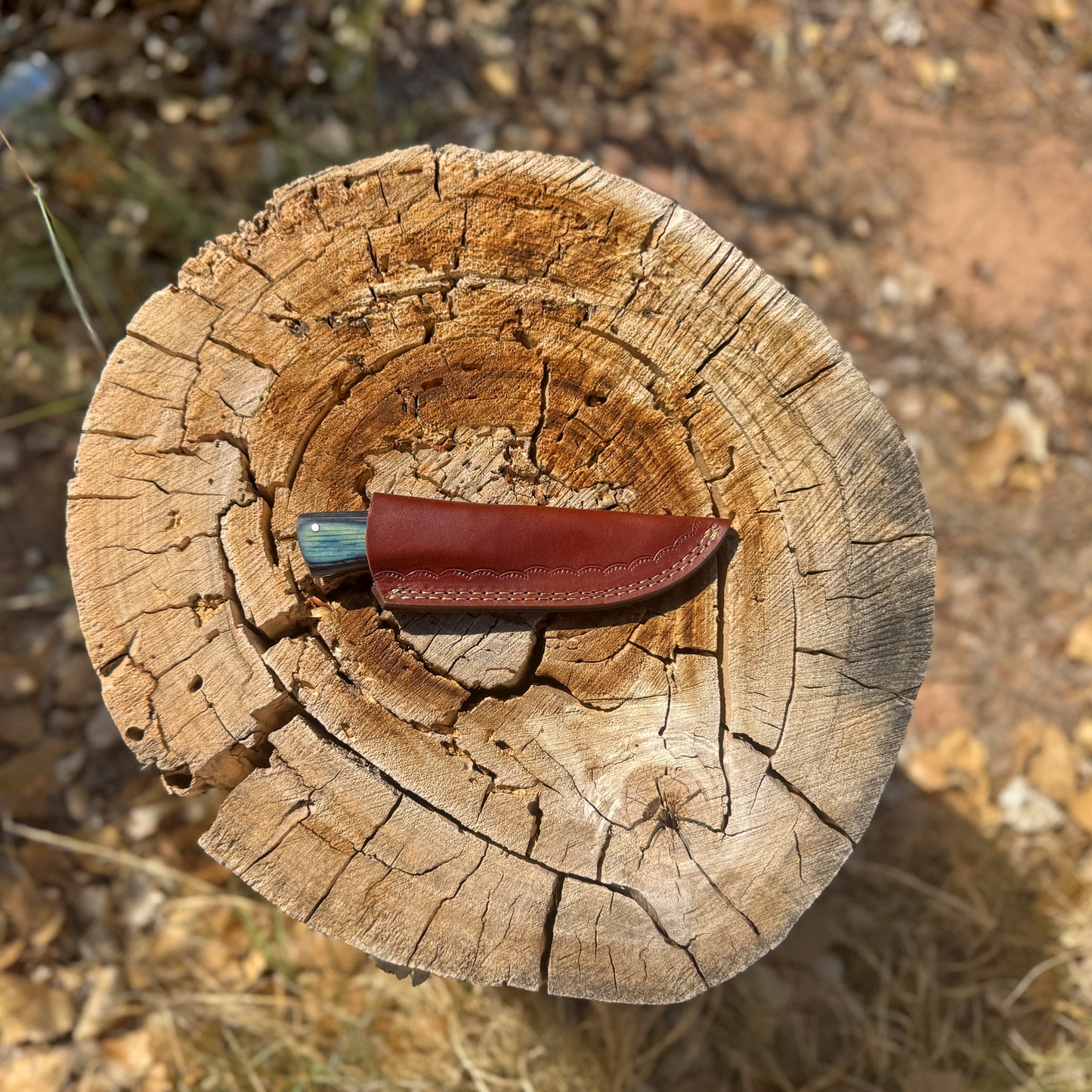 Ironwood Ridge Fixed Blade Knife – Blue-Streaked Wood Handle with Leather Sheath