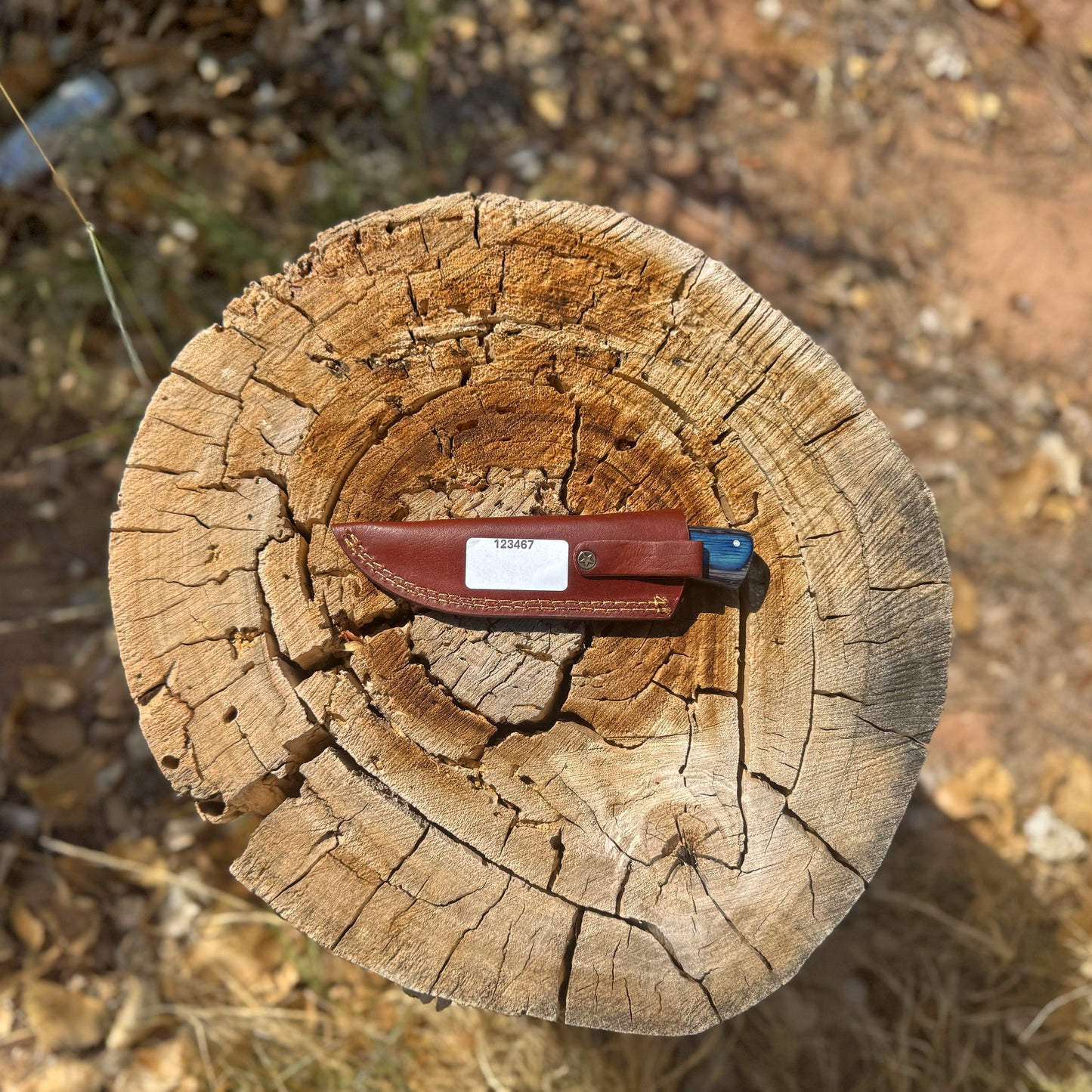 Ironwood Ridge Fixed Blade Knife – Blue-Streaked Wood Handle with Leather Sheath