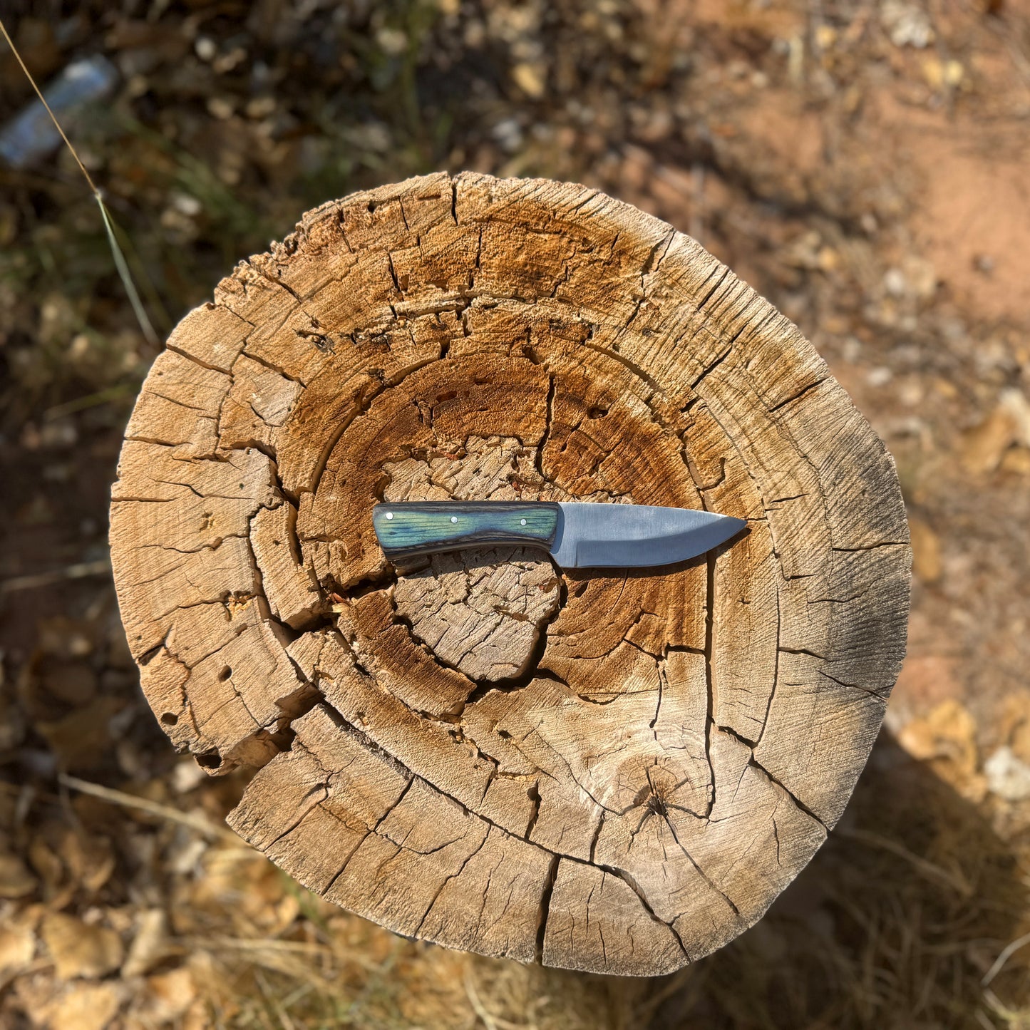 Ironwood Ridge Fixed Blade Knife – Blue-Streaked Wood Handle with Leather Sheath