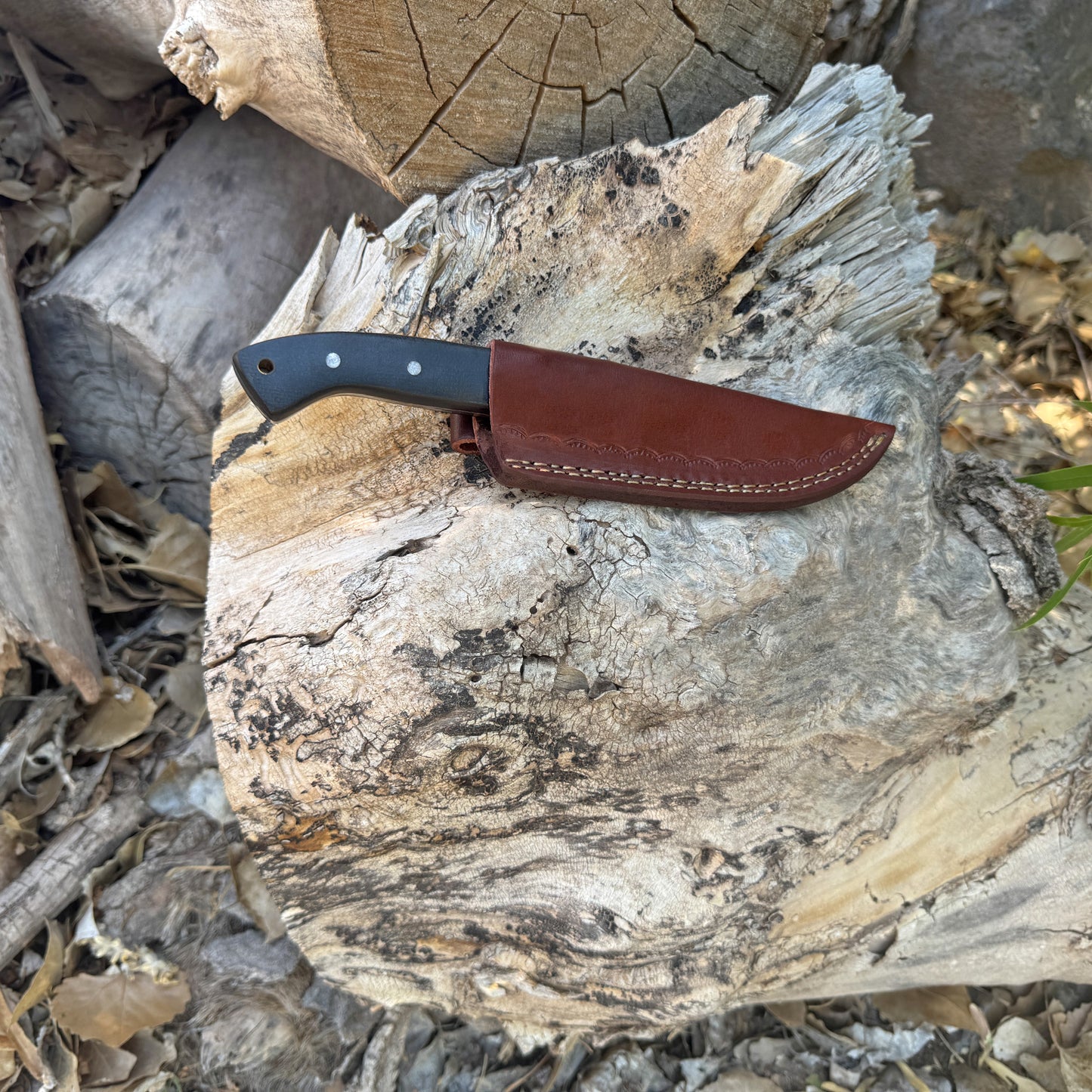 Rogue Talon recurve fixed blade knife with synthetic handle

Close-up of recurve blade edge and profile

Rugged textured grip handle with triple pins

Knife displayed beside custom-stitched leather sheath

Side profile showing sweeping recurve geometry

Handle contour and texture detail shot

Rogue Talon on a tactical gear or outdoor backdrop

Knife shown in hand for scale and ergonomic grip