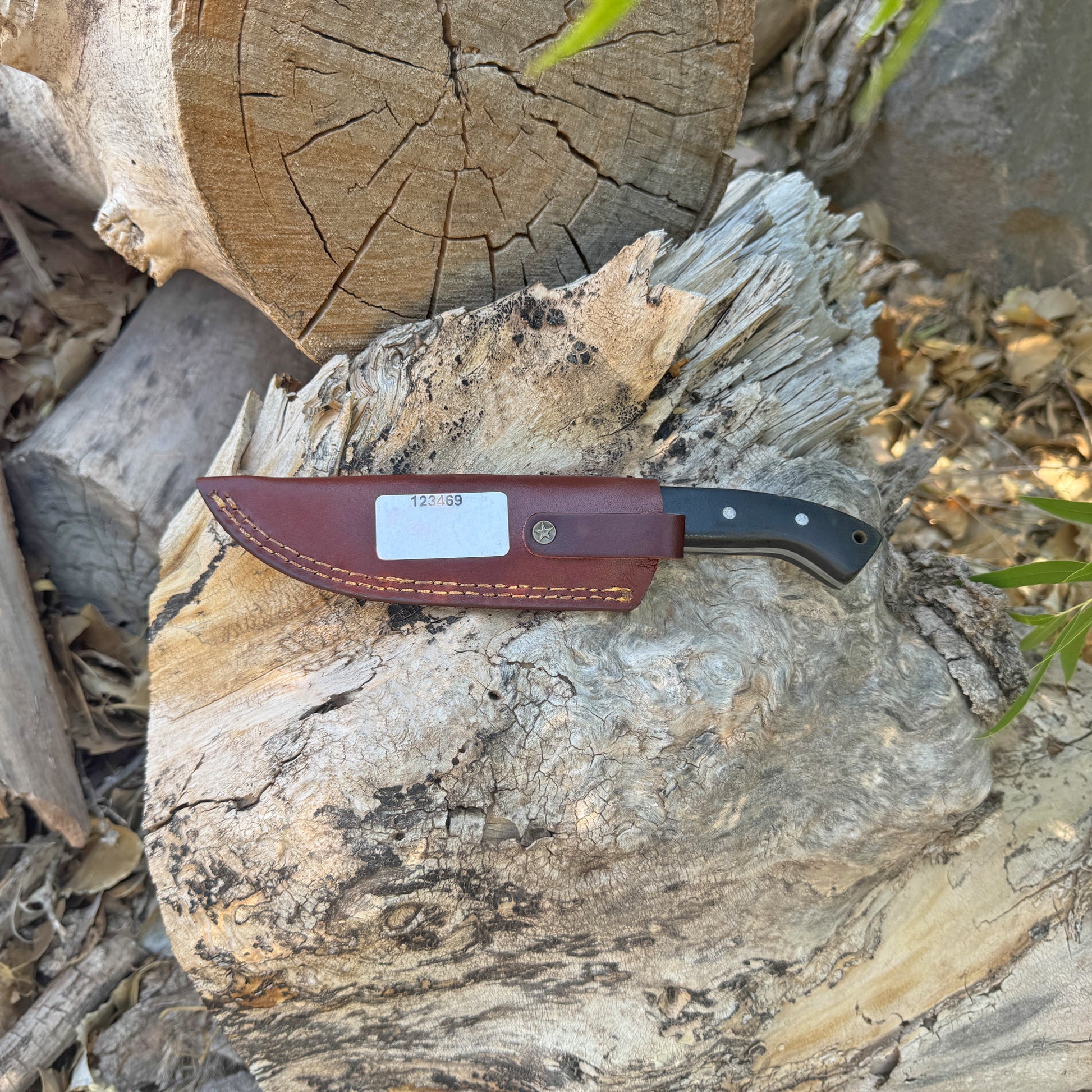 Rogue Talon recurve fixed blade knife with synthetic handle

Close-up of recurve blade edge and profile

Rugged textured grip handle with triple pins

Knife displayed beside custom-stitched leather sheath

Side profile showing sweeping recurve geometry

Handle contour and texture detail shot

Rogue Talon on a tactical gear or outdoor backdrop

Knife shown in hand for scale and ergonomic grip