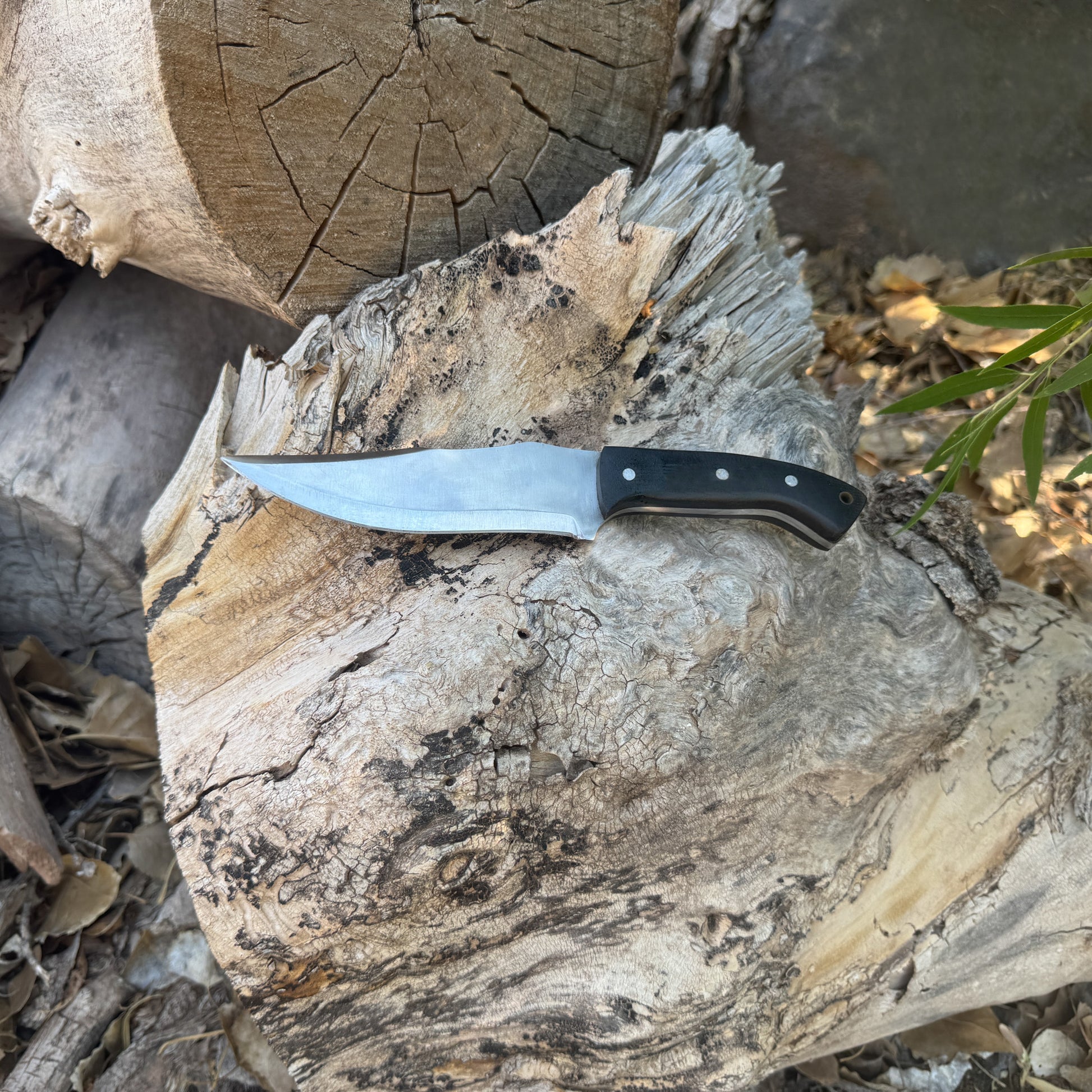 Rogue Talon recurve fixed blade knife with synthetic handle

Close-up of recurve blade edge and profile

Rugged textured grip handle with triple pins

Knife displayed beside custom-stitched leather sheath

Side profile showing sweeping recurve geometry

Handle contour and texture detail shot

Rogue Talon on a tactical gear or outdoor backdrop

Knife shown in hand for scale and ergonomic grip
