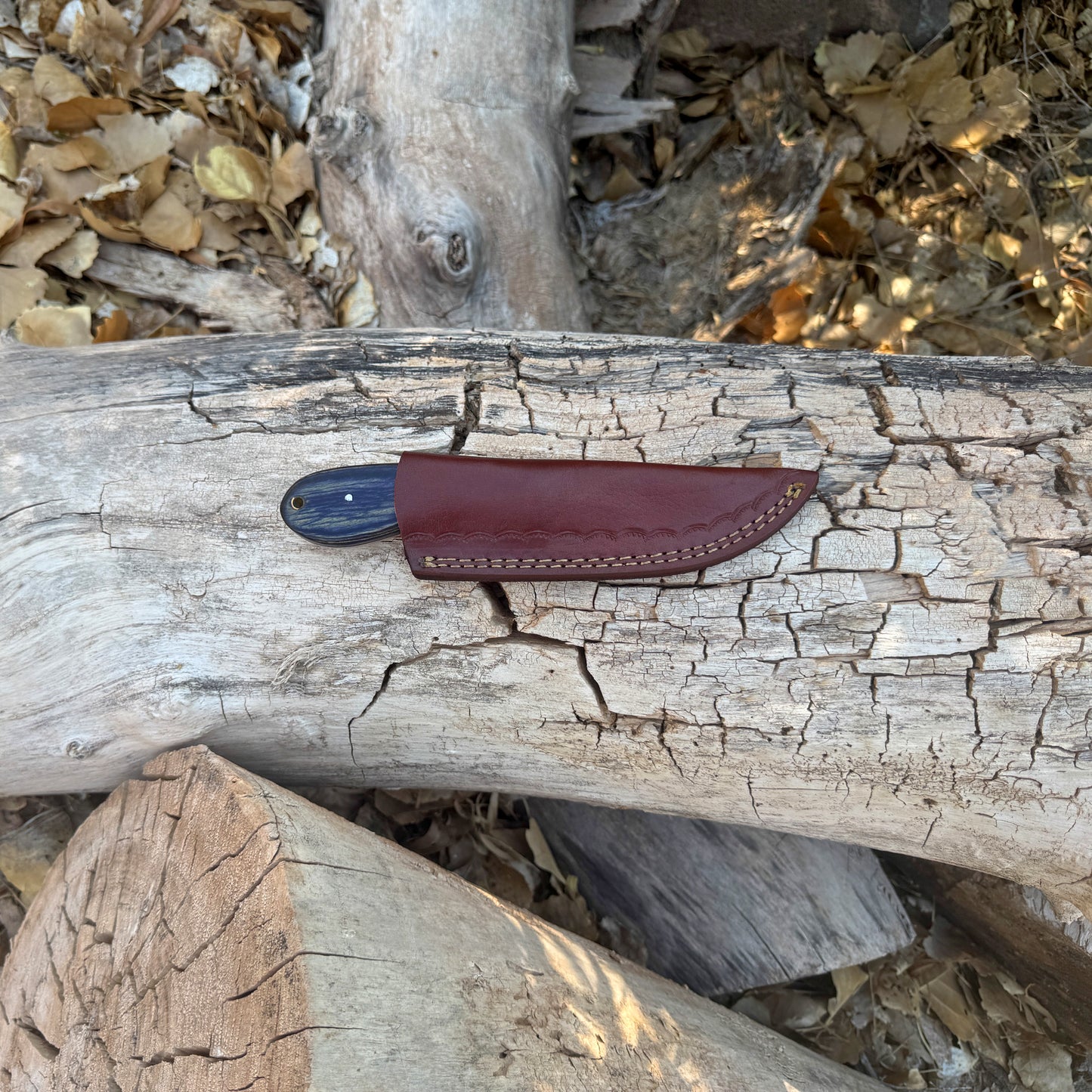 Shadow Rasp Hunter – Curved Blade Knife with Dark Wood Handle and Leather Sheath