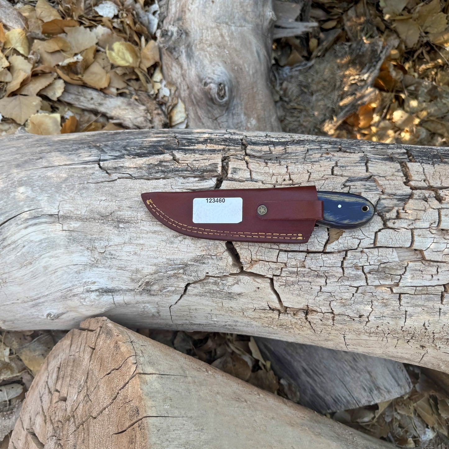Shadow Rasp Hunter – Curved Blade Knife with Dark Wood Handle and Leather Sheath