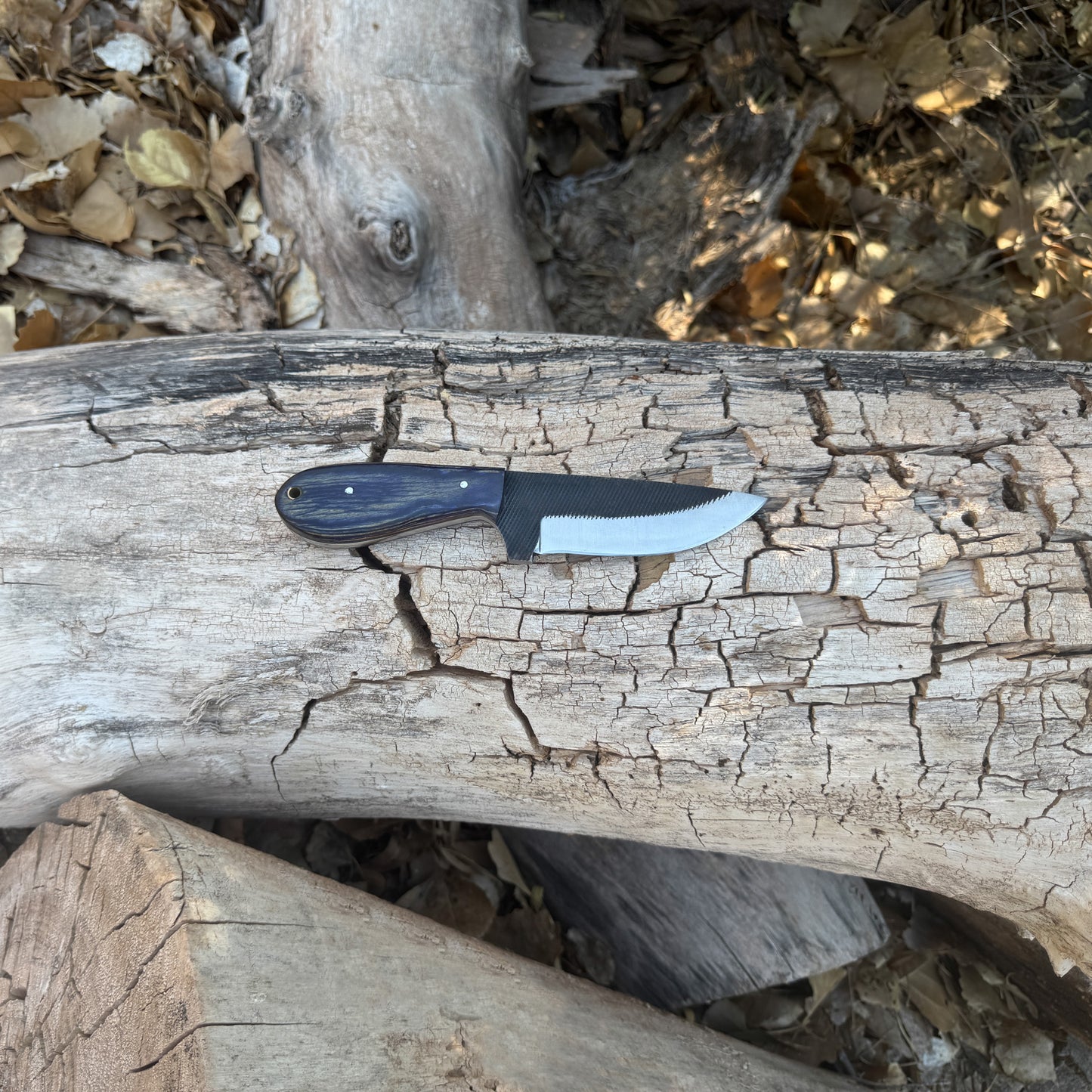 Shadow Rasp Hunter – Curved Blade Knife with Dark Wood Handle and Leather Sheath