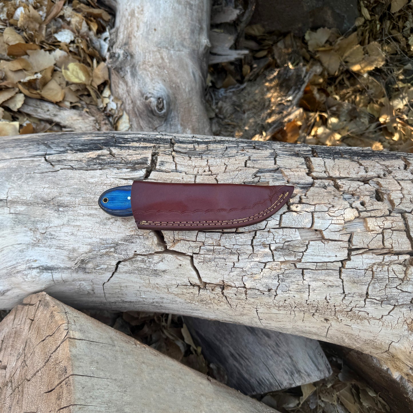 The Blue Rasp – Hand-Forged Rasp Knife with Dyed Wood Handle & Leather Sheath