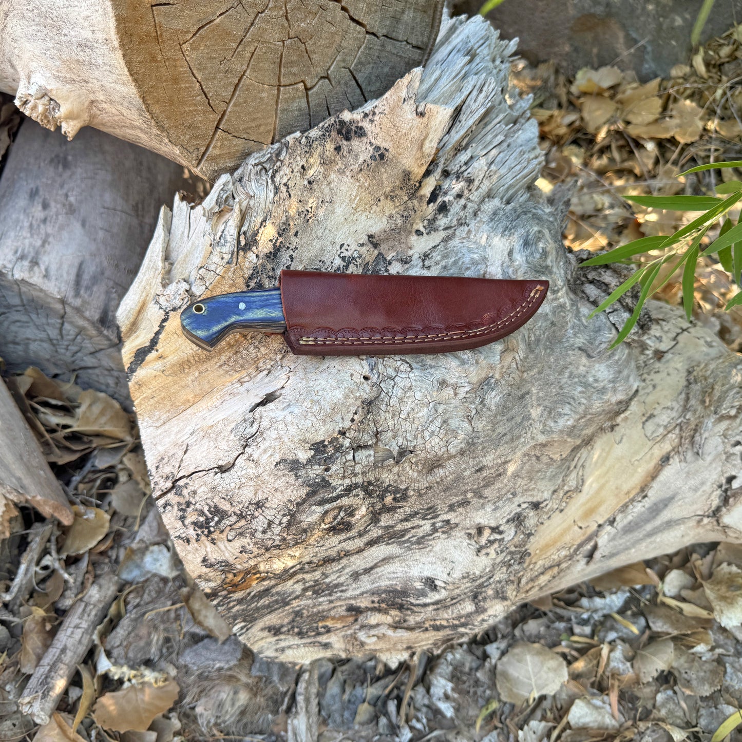 Shadow Timber Fixed Blade Knife – Curved Wood Handle with Leather Sheath
