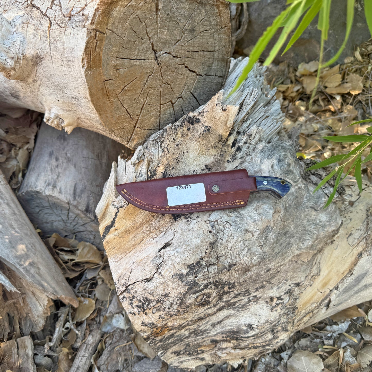 Shadow Timber Fixed Blade Knife – Curved Wood Handle with Leather Sheath
