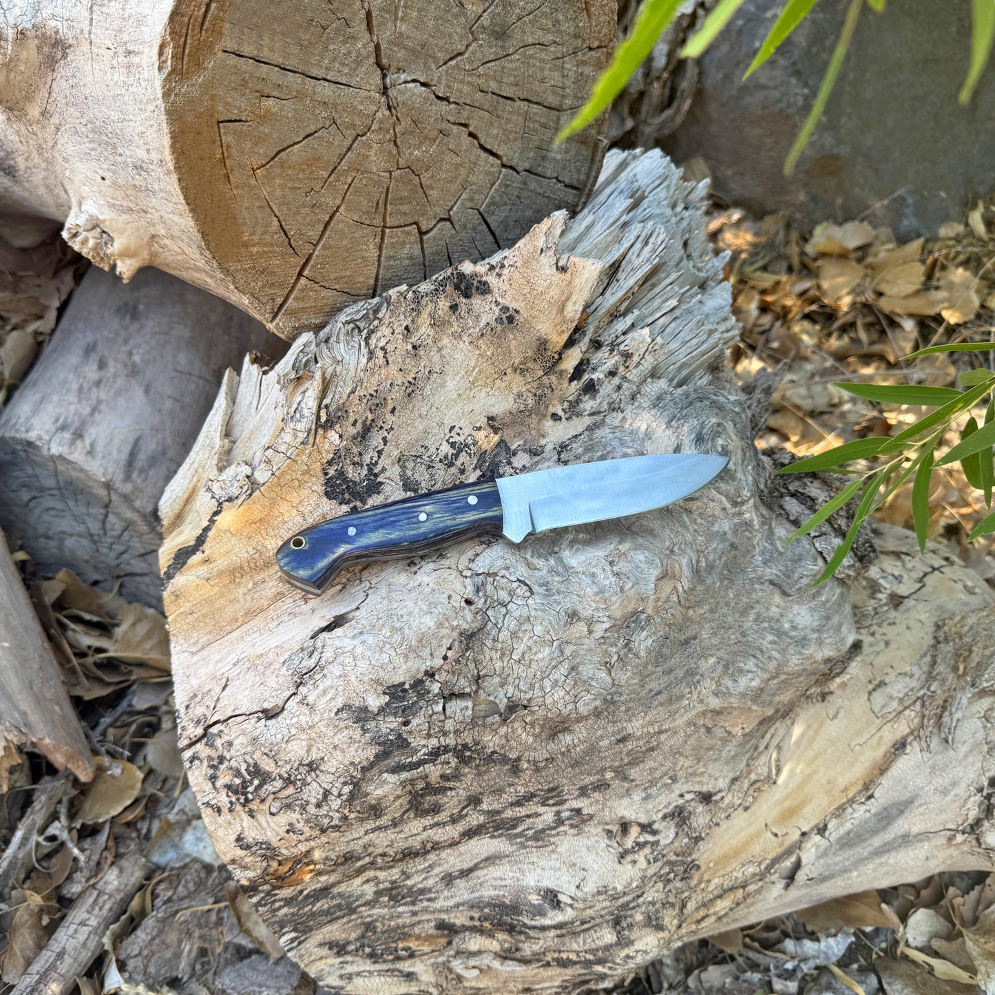 Shadow Timber full-tang drop point knife on leather sheath

Dark wood handle outdoor knife with brass and steel pins

Drop-point blade close-up on Shadow Timber knife

Curved hardwood handle with dark grain highlights

Knife and hand-stitched sheath displayed on natural wood

Full-tang rugged field knife ready for outdoor use

Blue Spade Forge Shadow Timber knife in natural lighting

Fixed blade knife arranged for product showcase