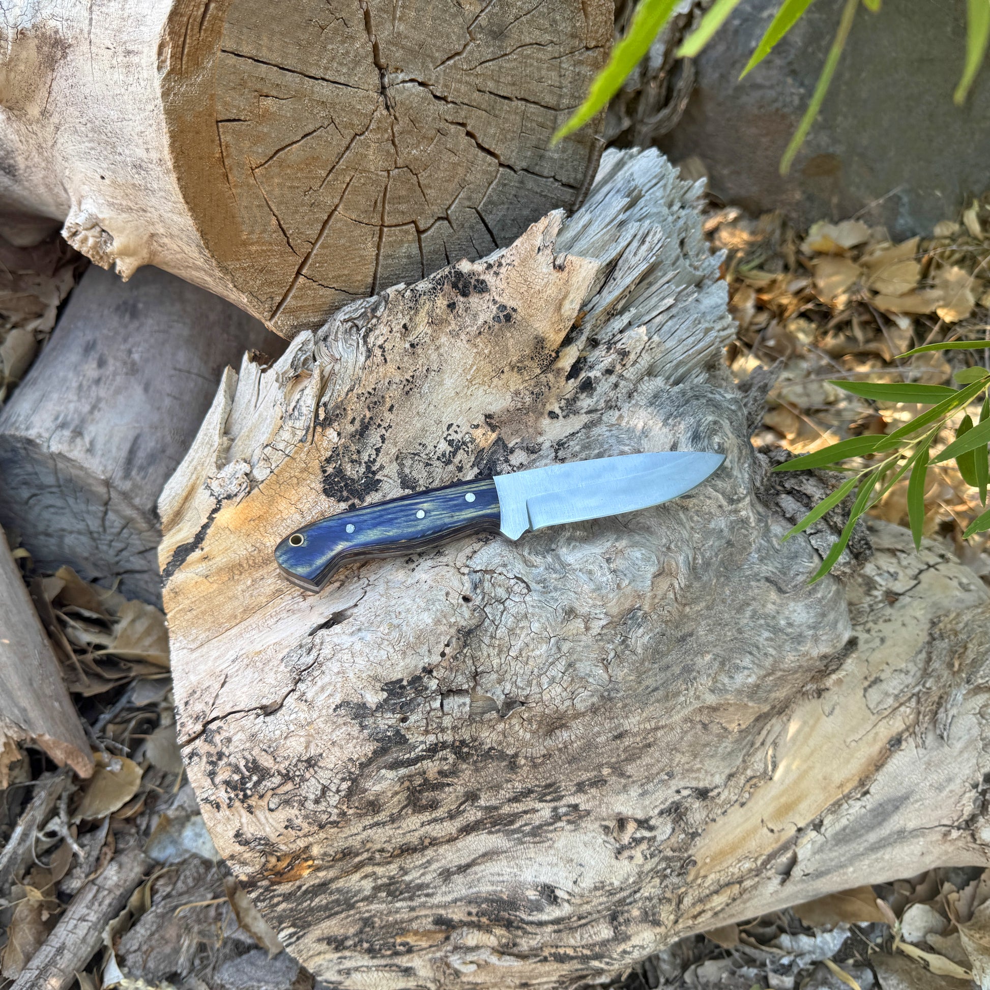 Shadow Timber full-tang drop point knife on leather sheath

Dark wood handle outdoor knife with brass and steel pins

Drop-point blade close-up on Shadow Timber knife

Curved hardwood handle with dark grain highlights

Knife and hand-stitched sheath displayed on natural wood

Full-tang rugged field knife ready for outdoor use

Blue Spade Forge Shadow Timber knife in natural lighting

Fixed blade knife arranged for product showcase