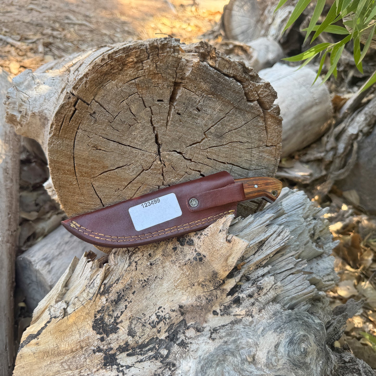 The Sandridge – Fixed Blade Knife with Natural Wood Handle & Leather Sheath