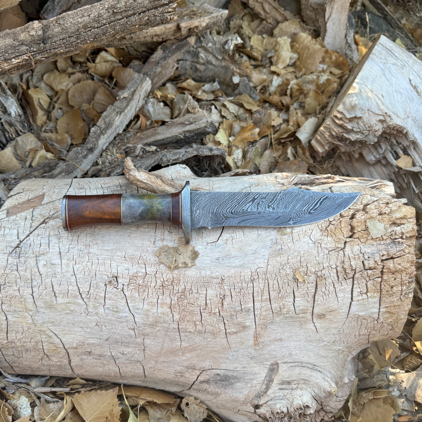 The Frontier Hand-Forged Damascus Bowie Knife with Horn & Hardwood Handle
