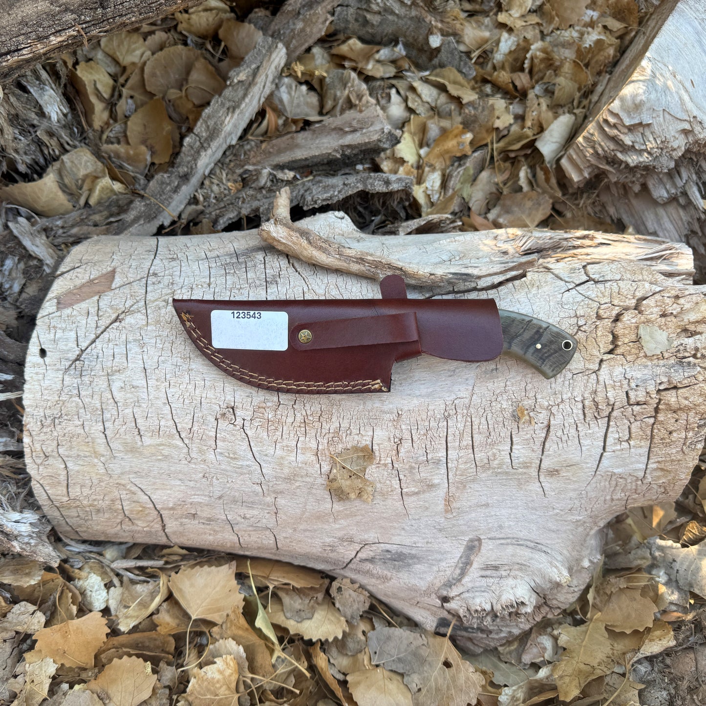 The Outlander Hand-Forged Damascus Tracker with Horn & Hardwood Handle