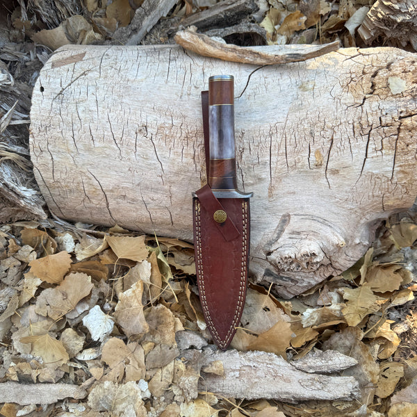The Centurion Hand-Forged Damascus Dagger with Horn & Hardwood Handle ...