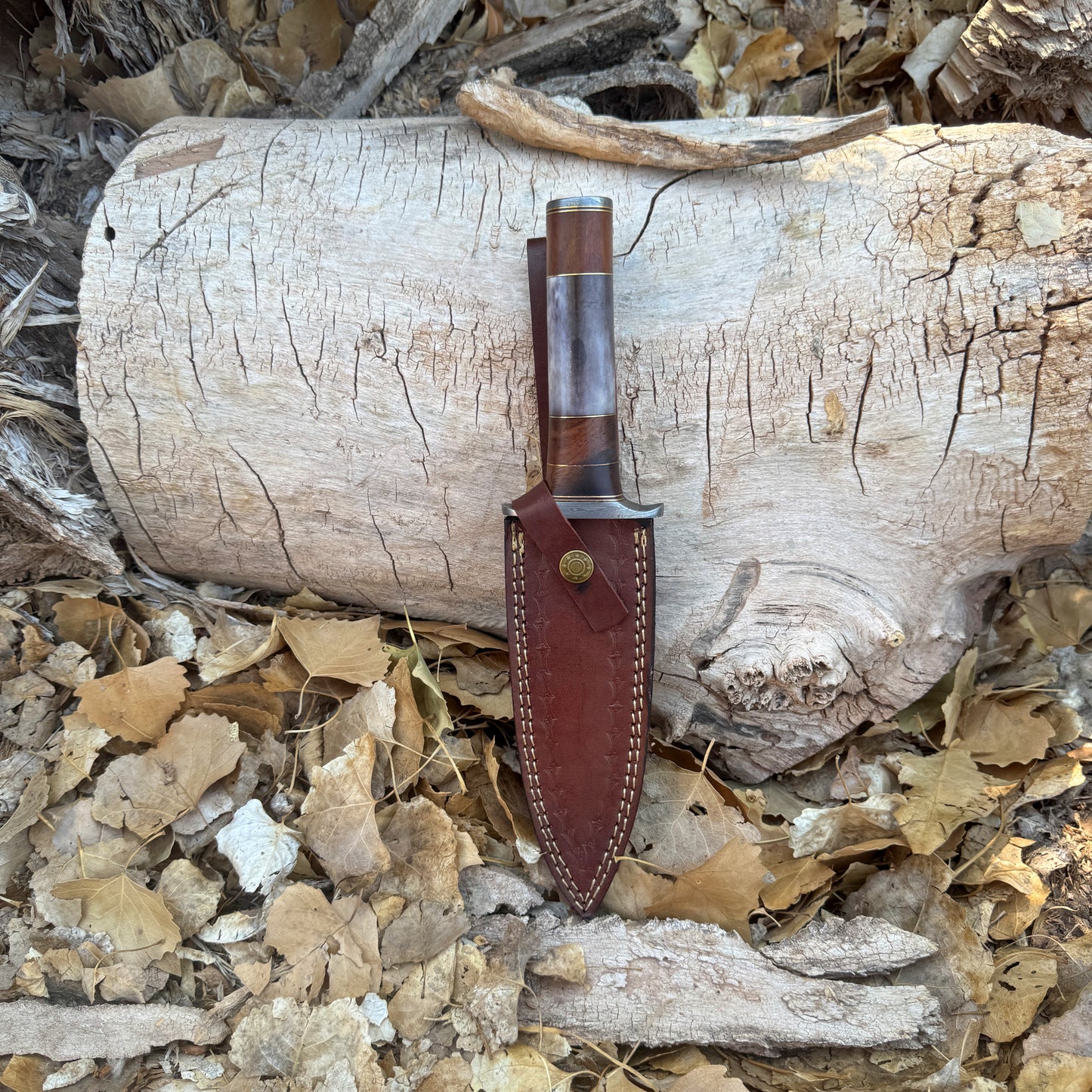 The Centurion Hand-Forged Damascus Dagger with Horn & Hardwood Handle