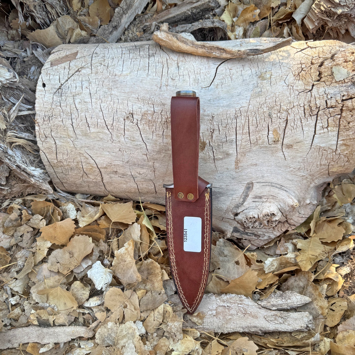 The Centurion Hand-Forged Damascus Dagger with Horn & Hardwood Handle