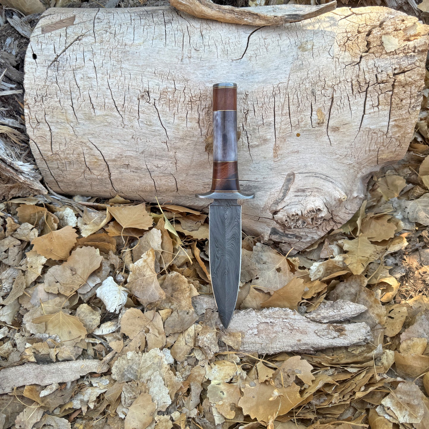 The Centurion Hand-Forged Damascus Dagger with Horn & Hardwood Handle