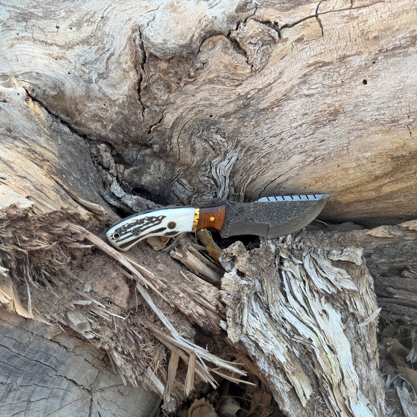 Ridgeback Howl Damascus Tracker Knife with Stag and Hardwood Handle