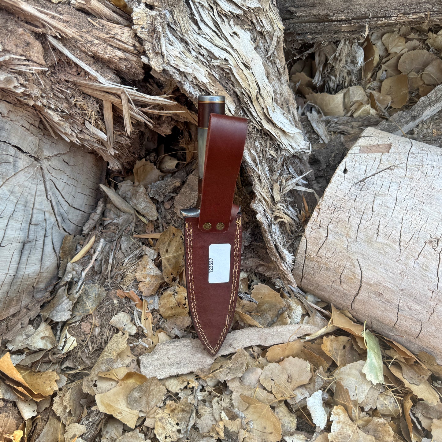 The Warden Hand-Forged Damascus Dagger with Horn & Hardwood Handle