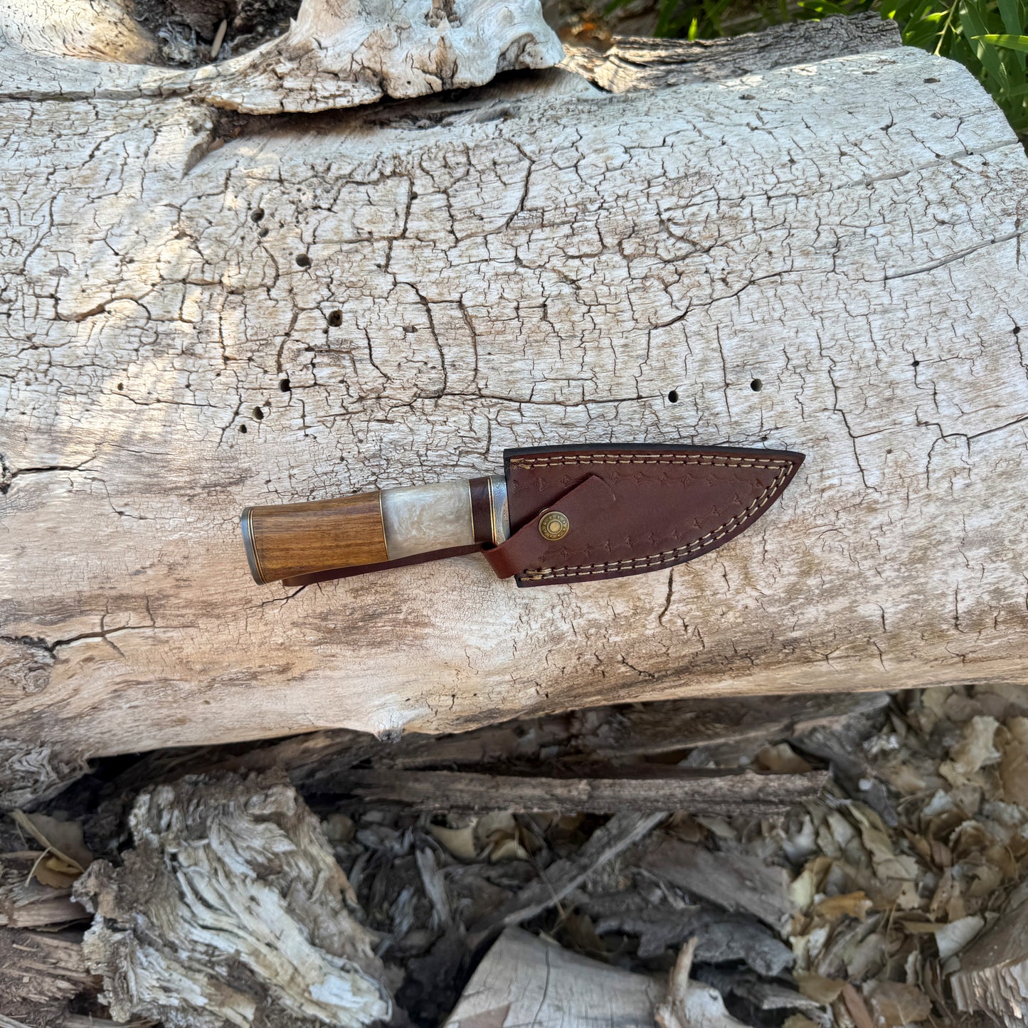 Timber Ghost Hand-Forged Damascus Skinner with Bone & Wood Handle