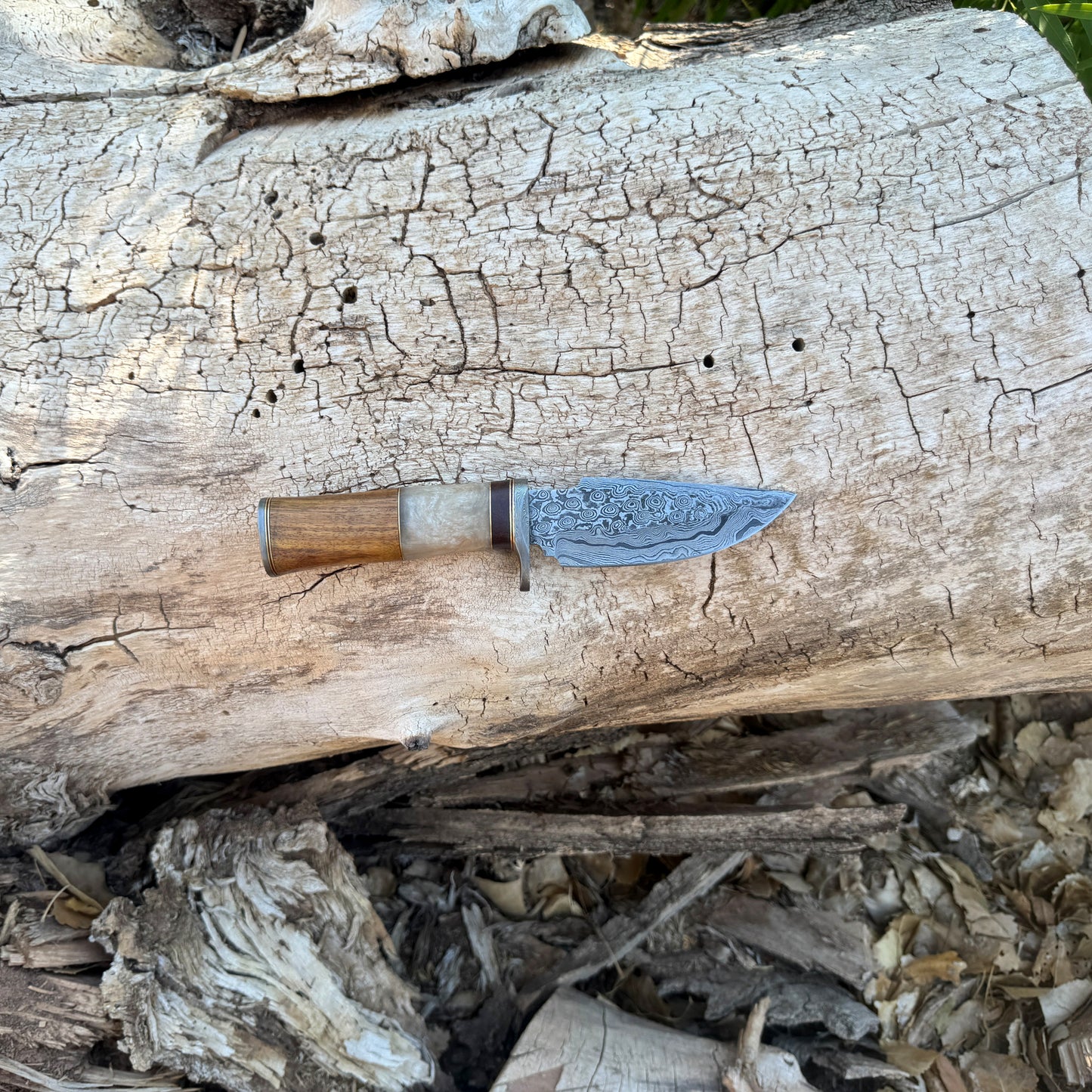 Timber Ghost Hand-Forged Damascus Skinner with Bone & Wood Handle