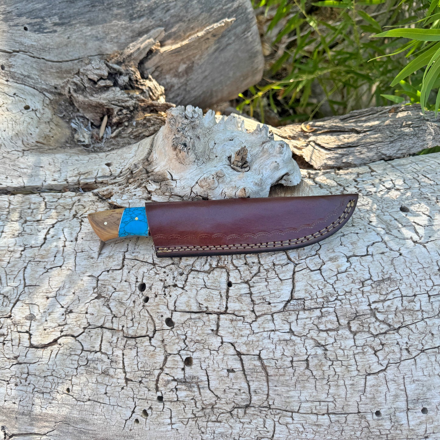 The Canyon Edge Damascus Utility Knife with Turquoise and Wood Handle