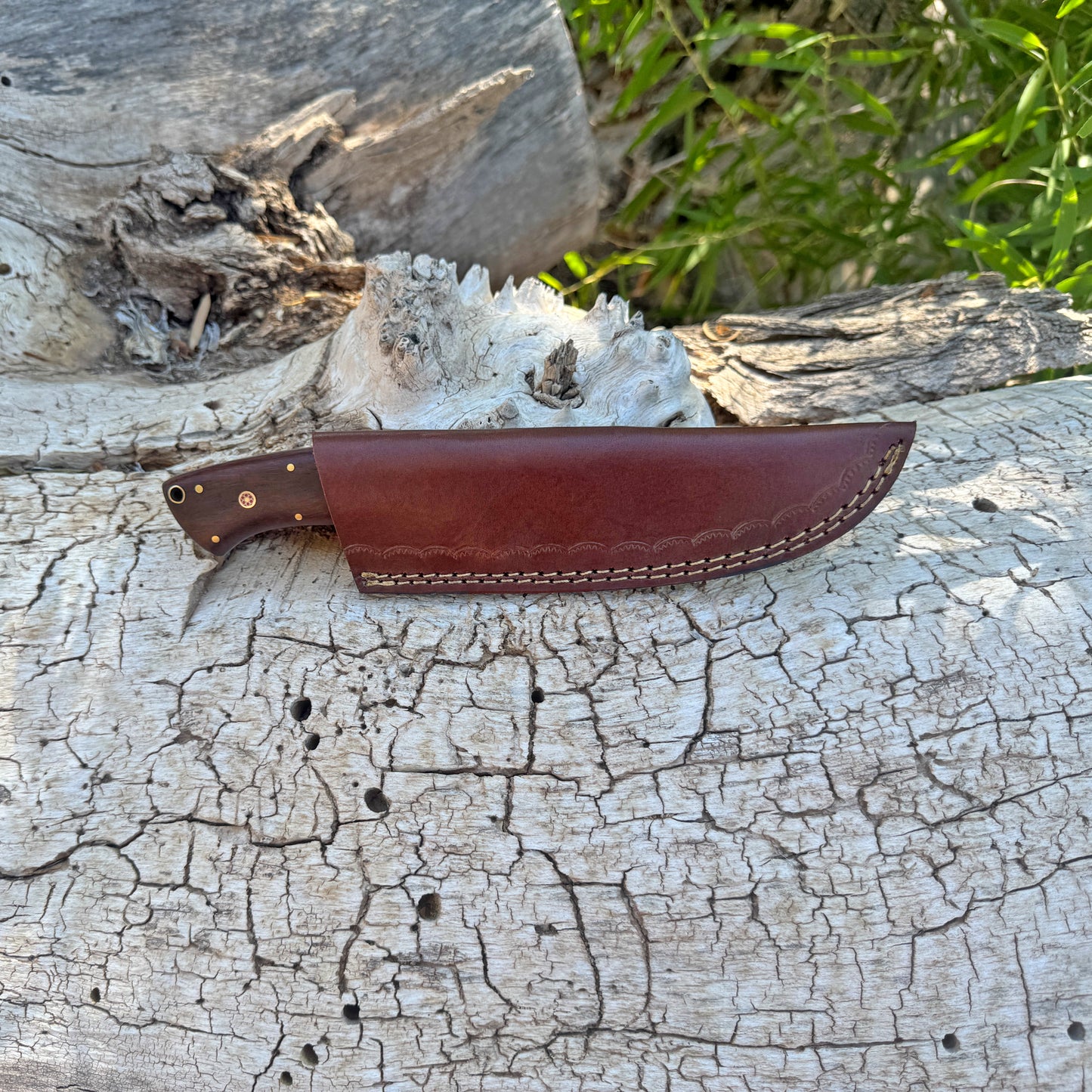 The Ridgeback Hand-Forged Damascus Hunting Knife with Exotic Hardwood Handle