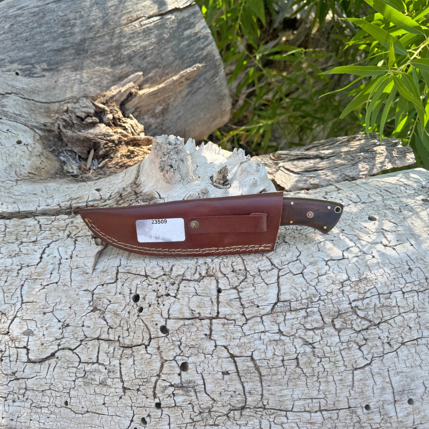 The Ridgeback Hand-Forged Damascus Hunting Knife with Exotic Hardwood Handle